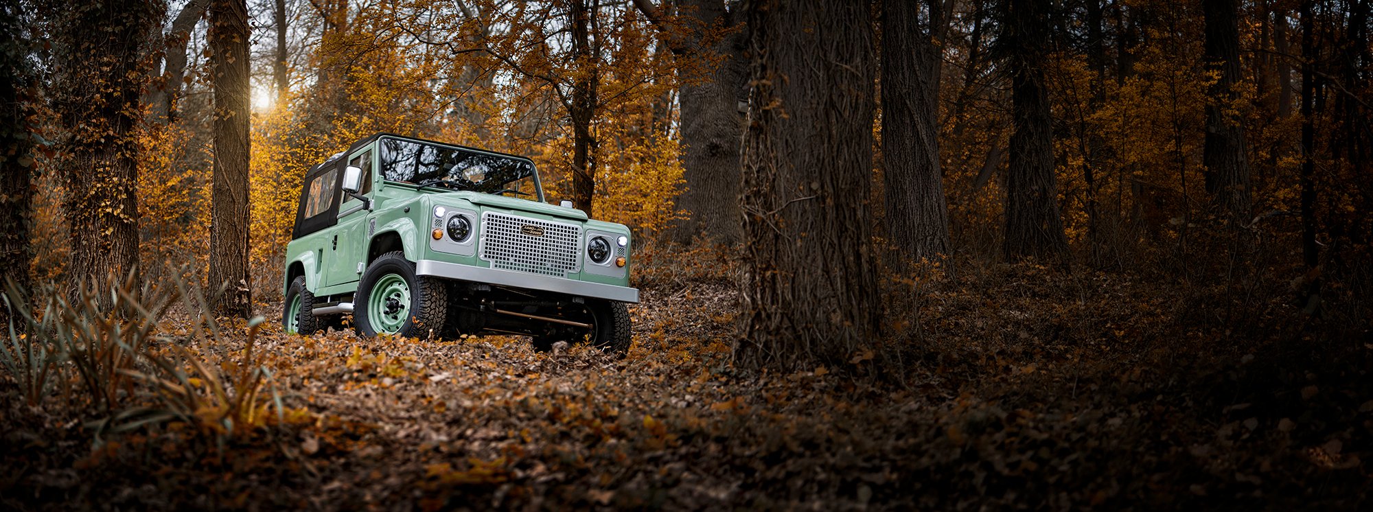 Light green Land Rover Defender in woodland
