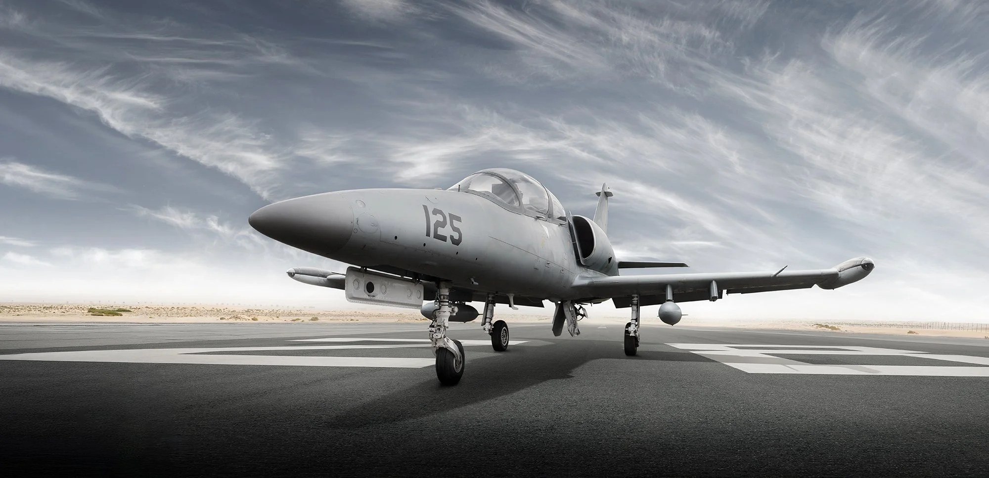 Warbird military jet on runway.