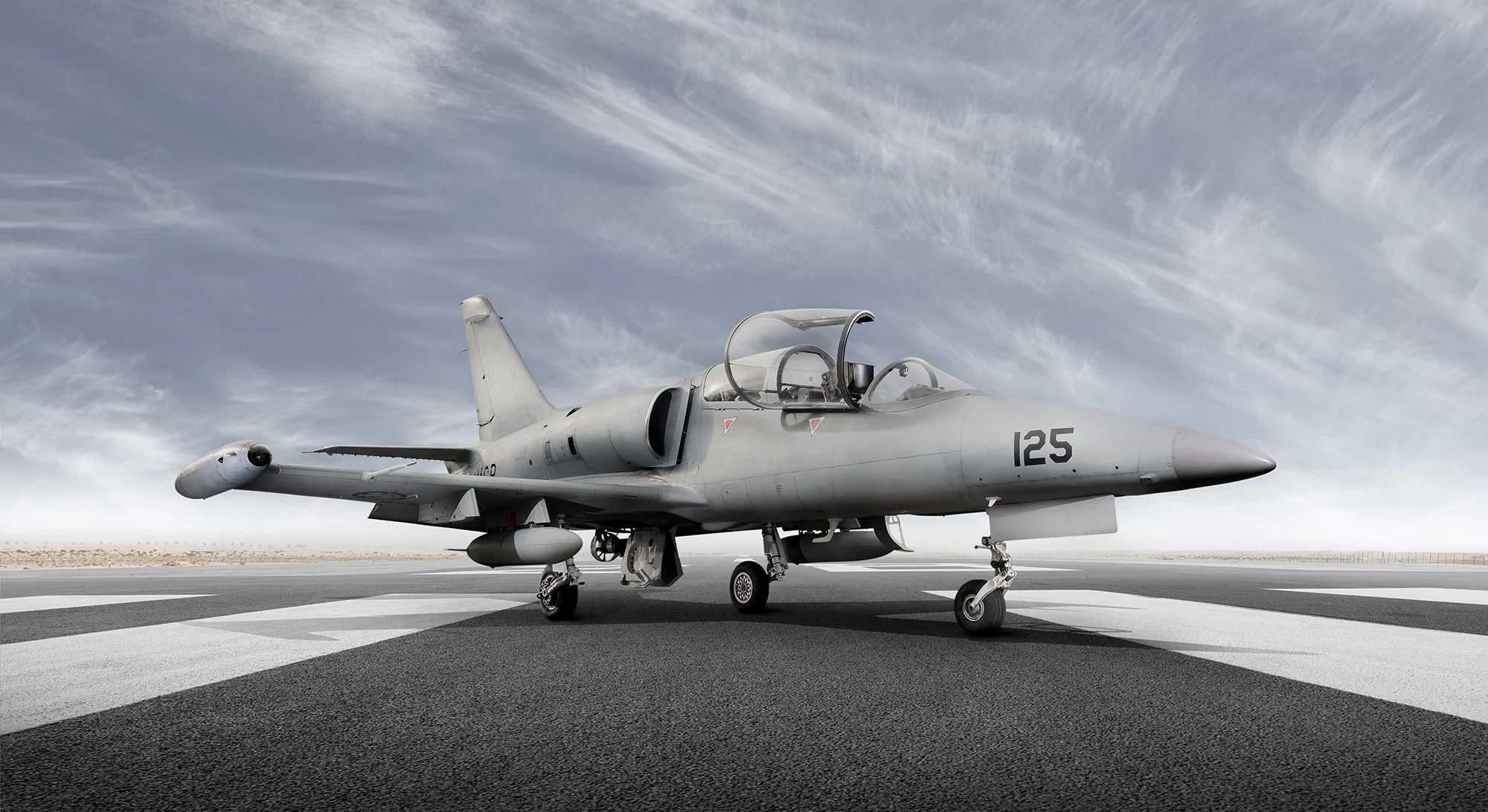 L-39 Albatros front profile view on runway with cockpit canopy open.