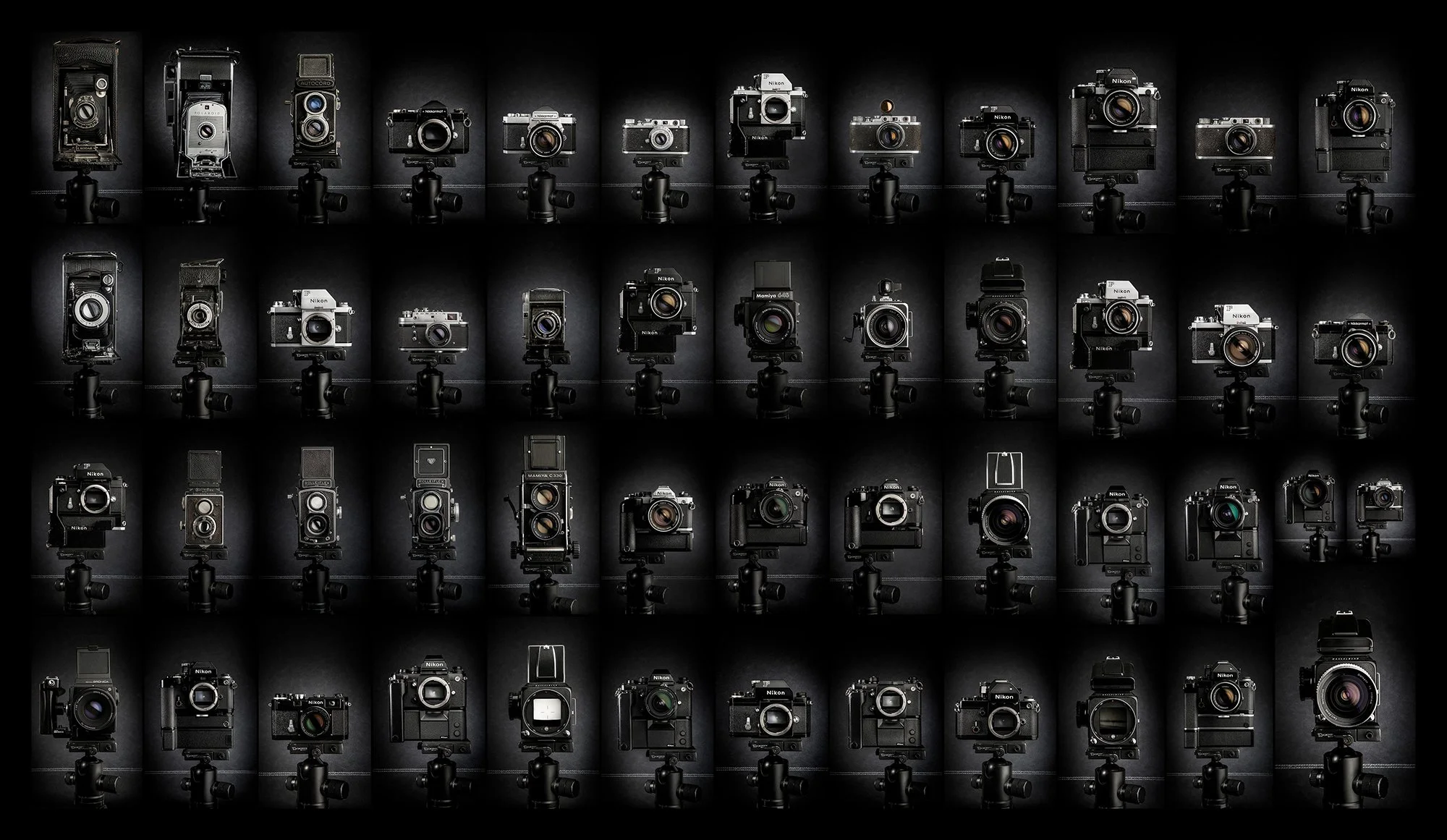 A collection of old film cameras.