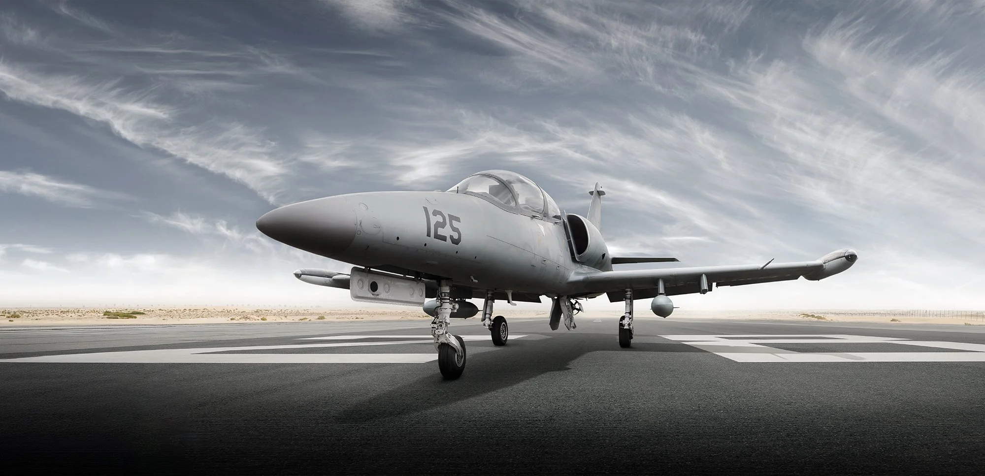 L-39 Albatros on runway, aviation photography.