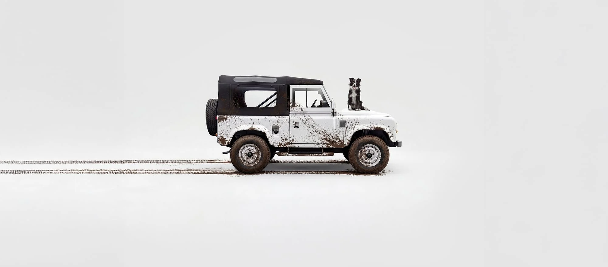 White Land Rover Defender against a white background with a dog sitting on the bonnet.