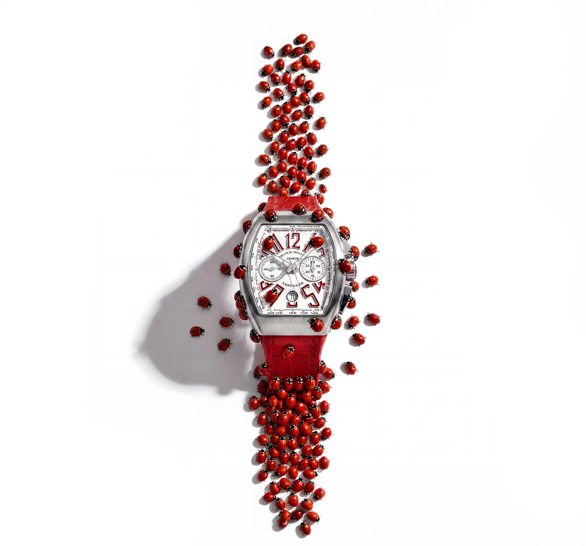 Lady birds with watch