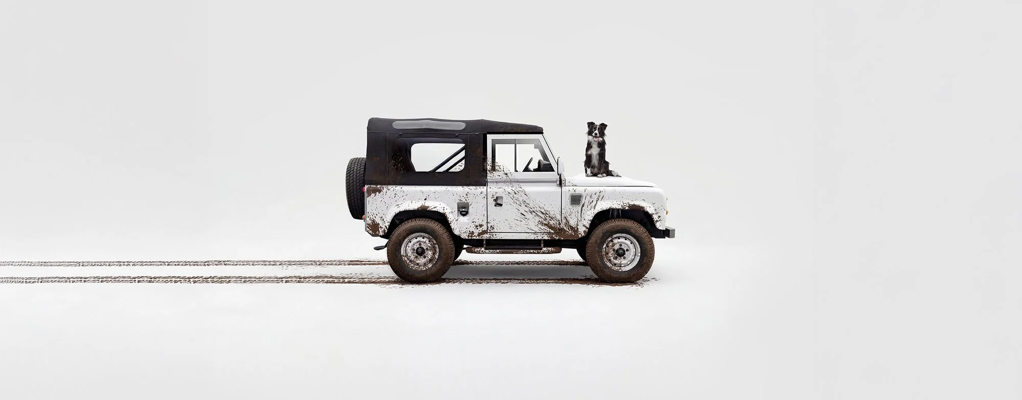 Dog sat on a white Land Rover Defender