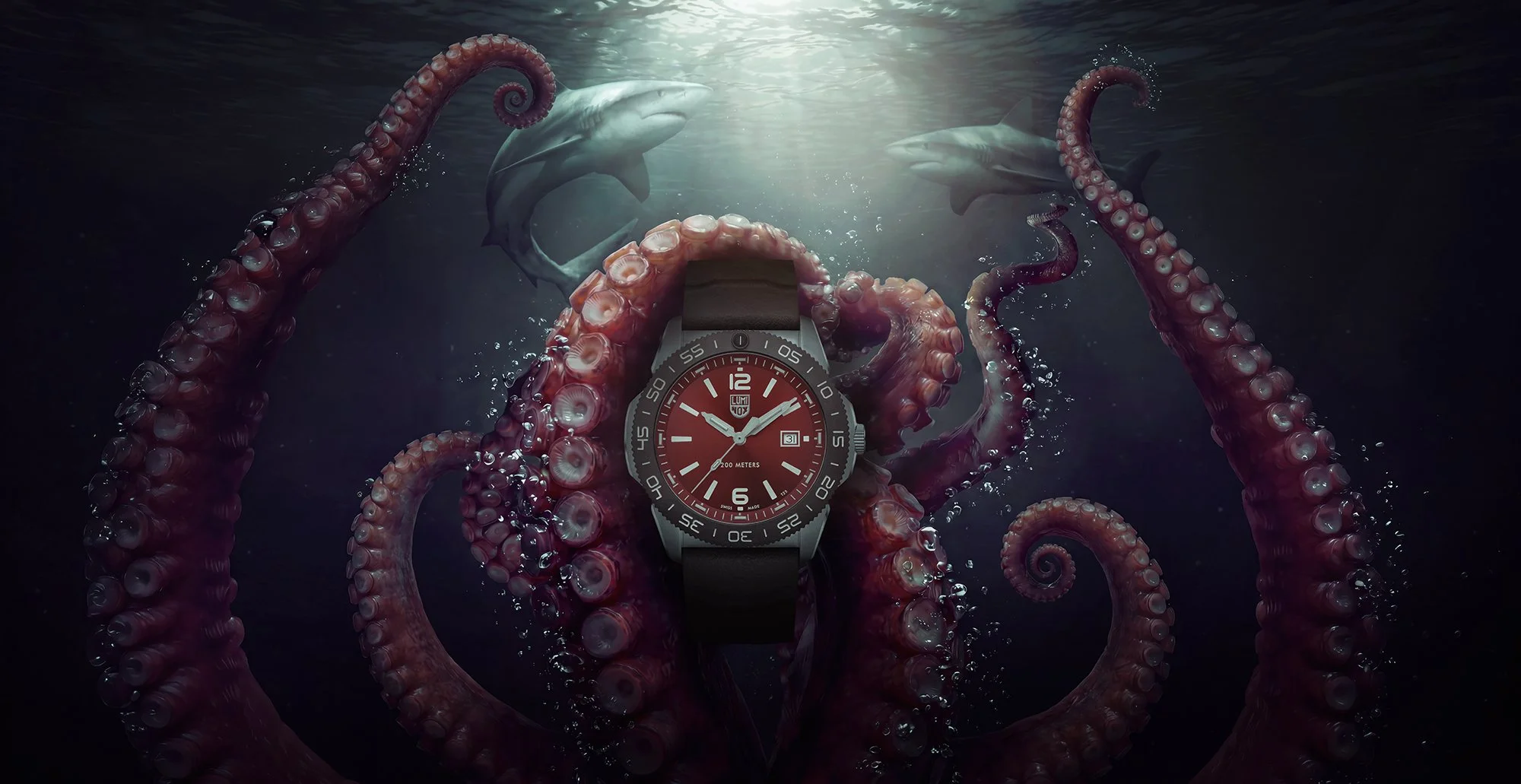 Divers watch with octopuss 