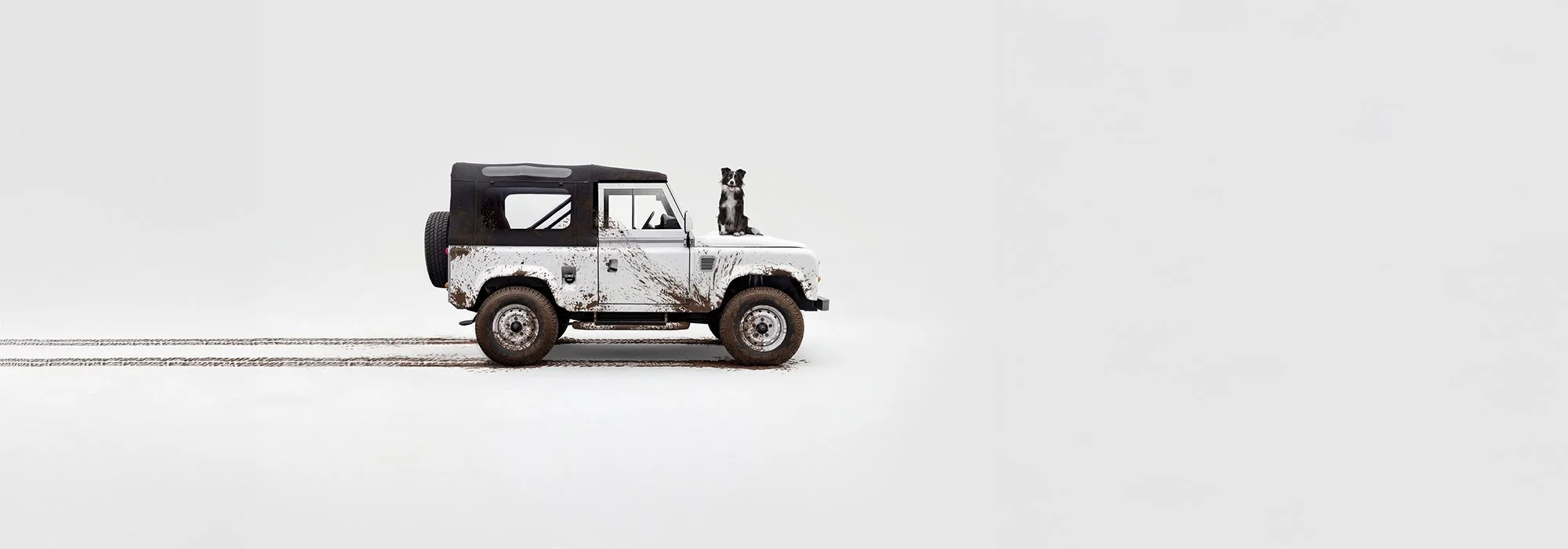 White muddy Land Rover with dog sat on the bonnet.