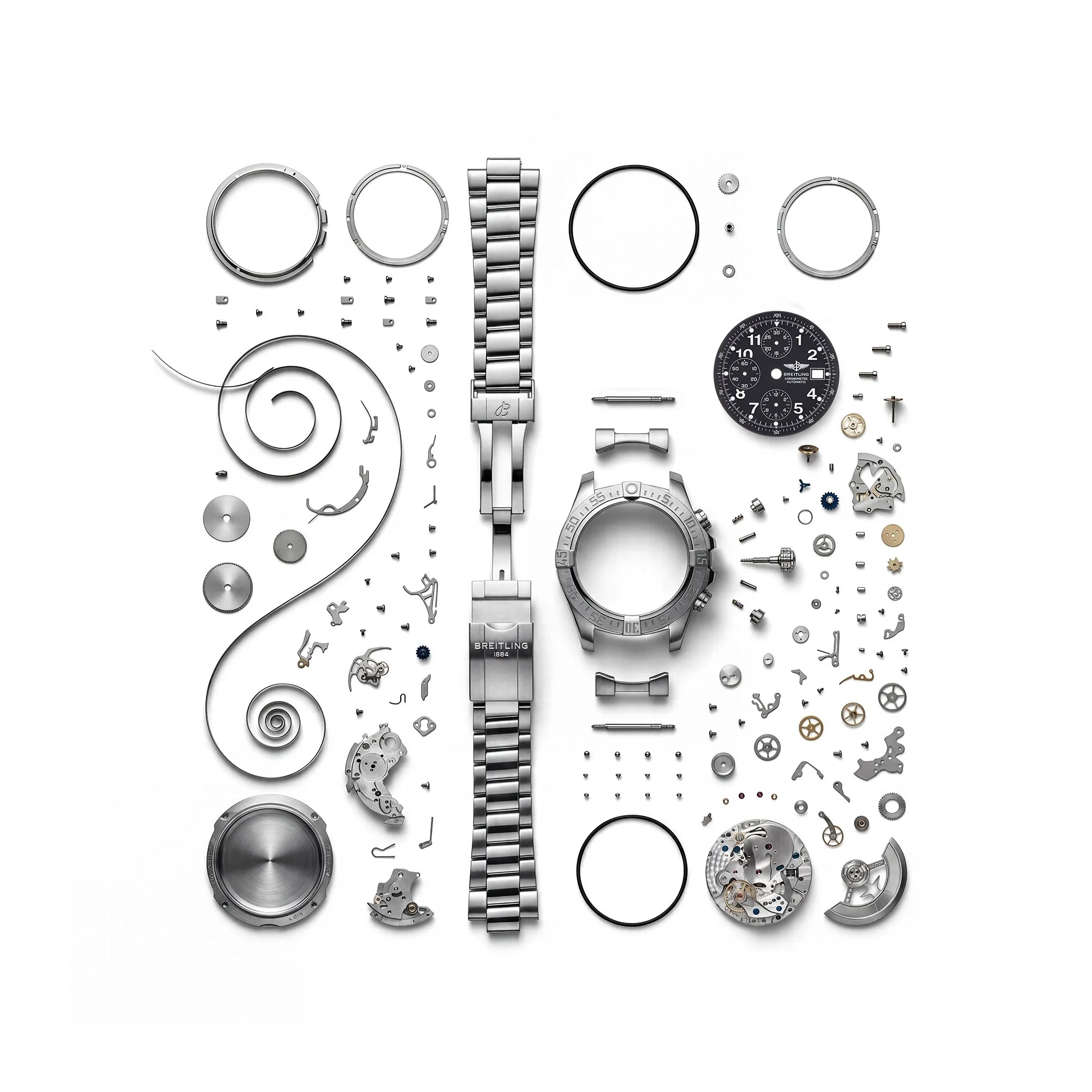 Watch parts laid out on white background.