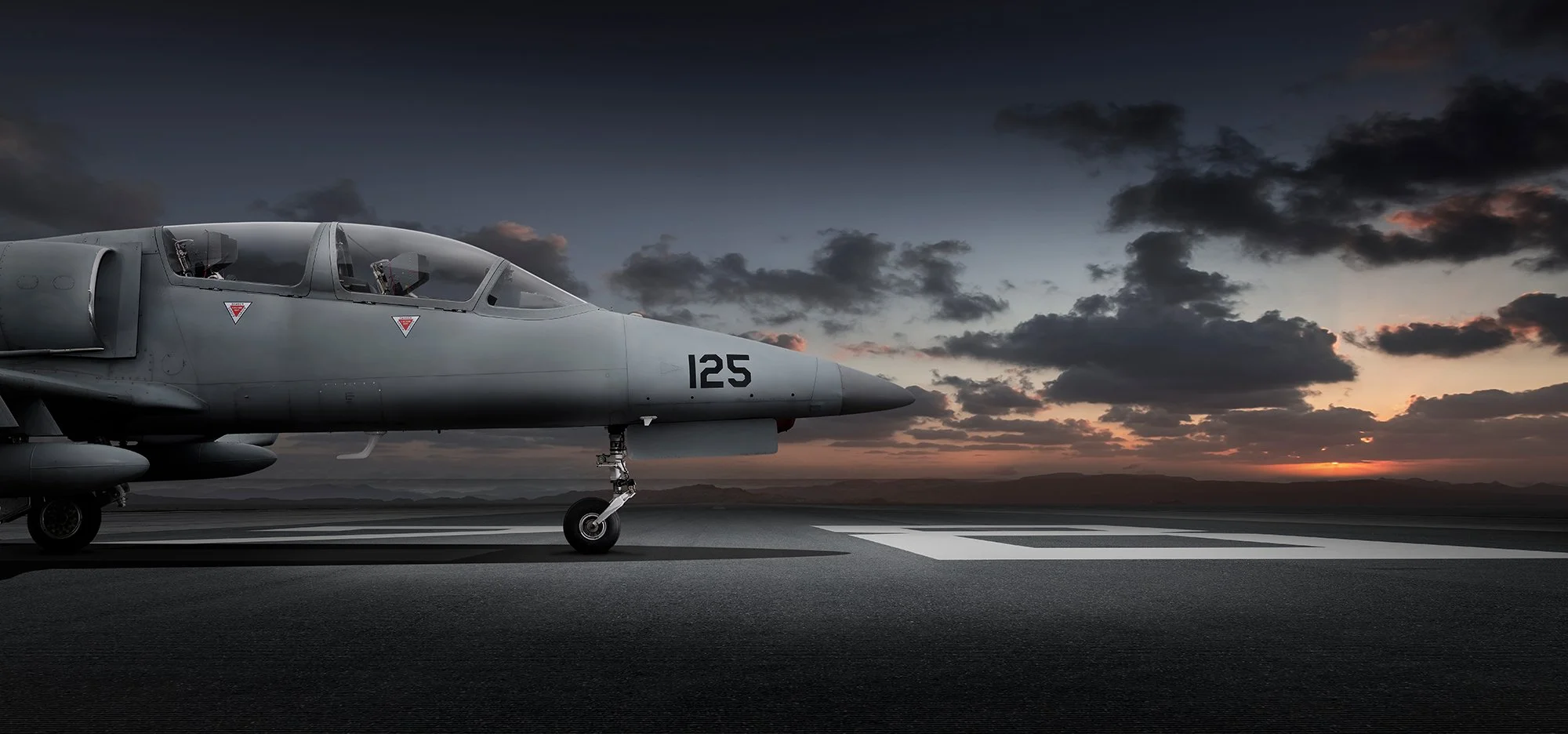 L-39 Albatros Jet aircraft on runway at dusk