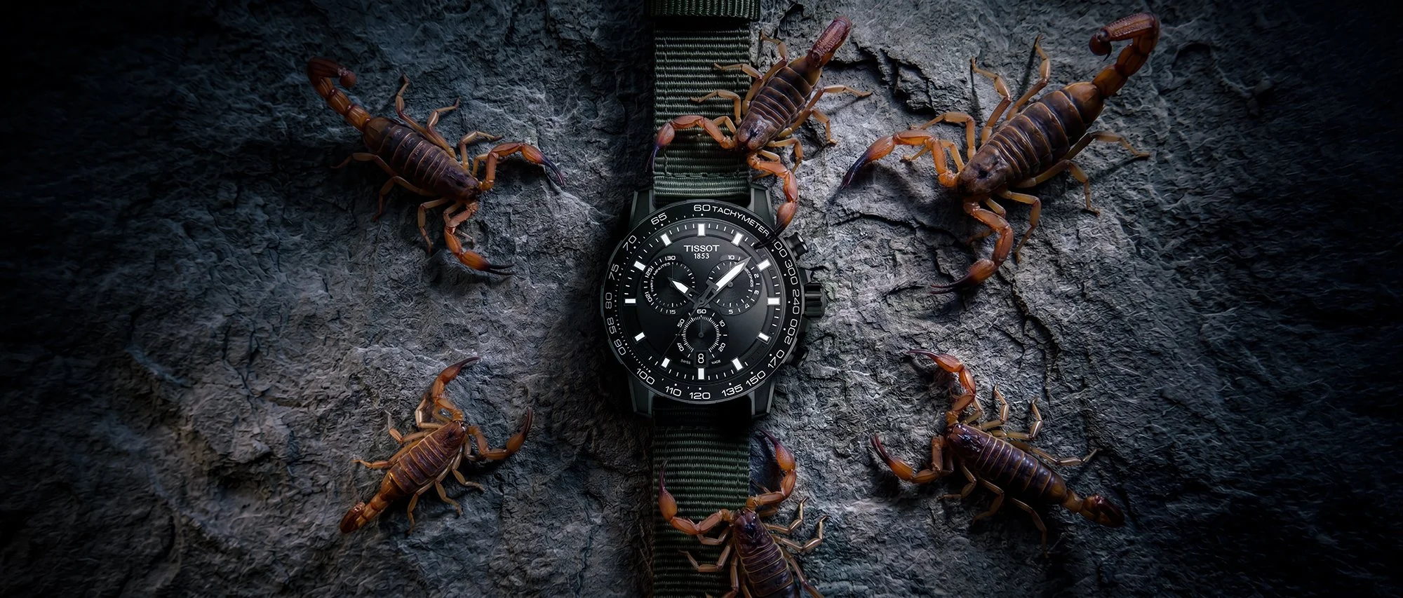 Watch with Scorpions 