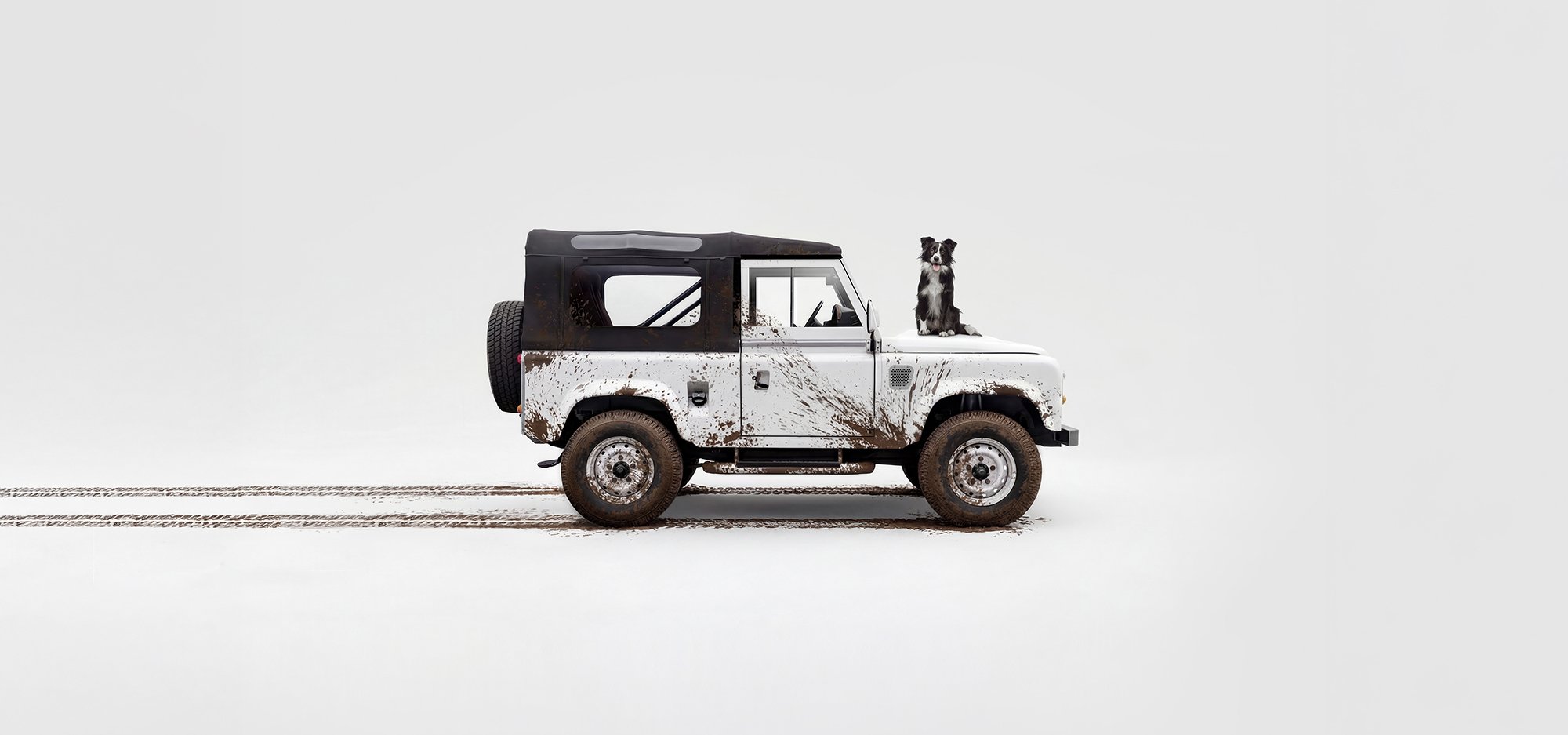White Land Rover with a sheep dog sat on the bonnet, car photography