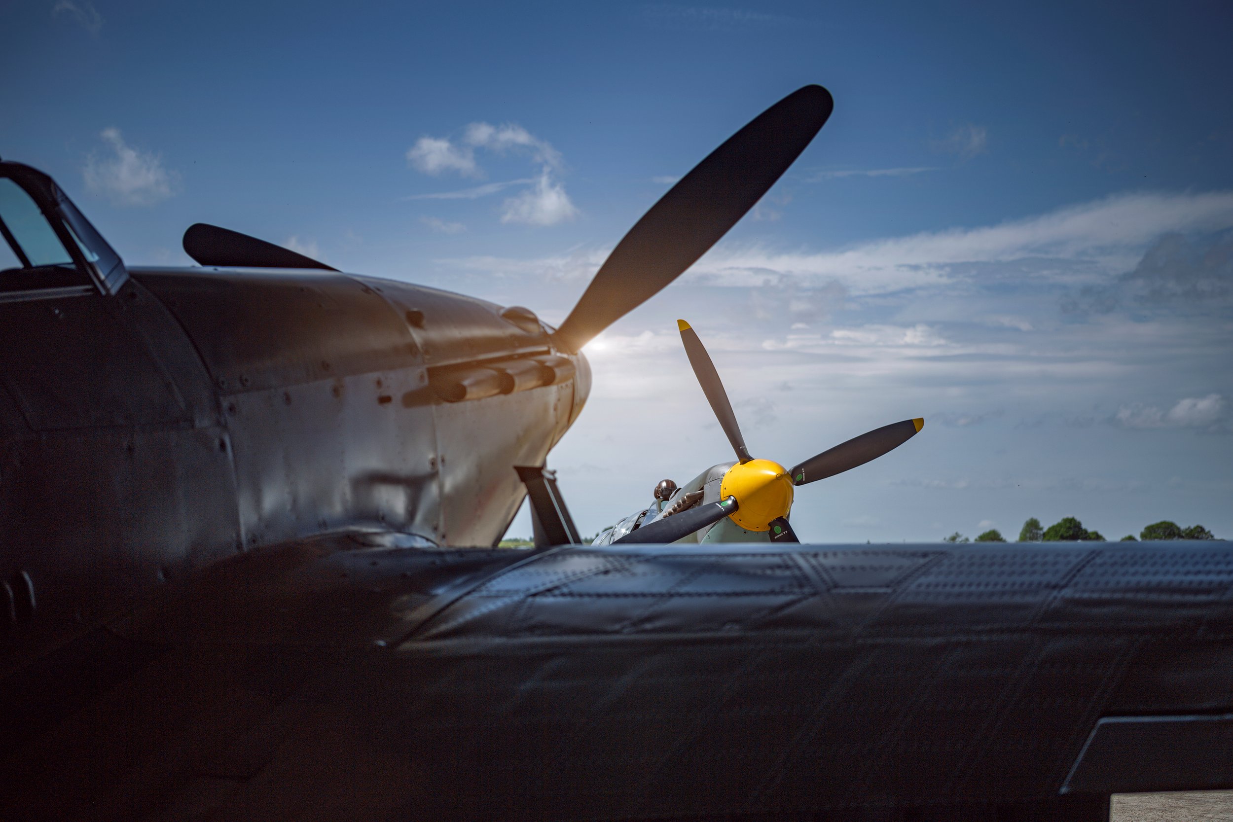 Two Spitfires sat showing their nose cones.