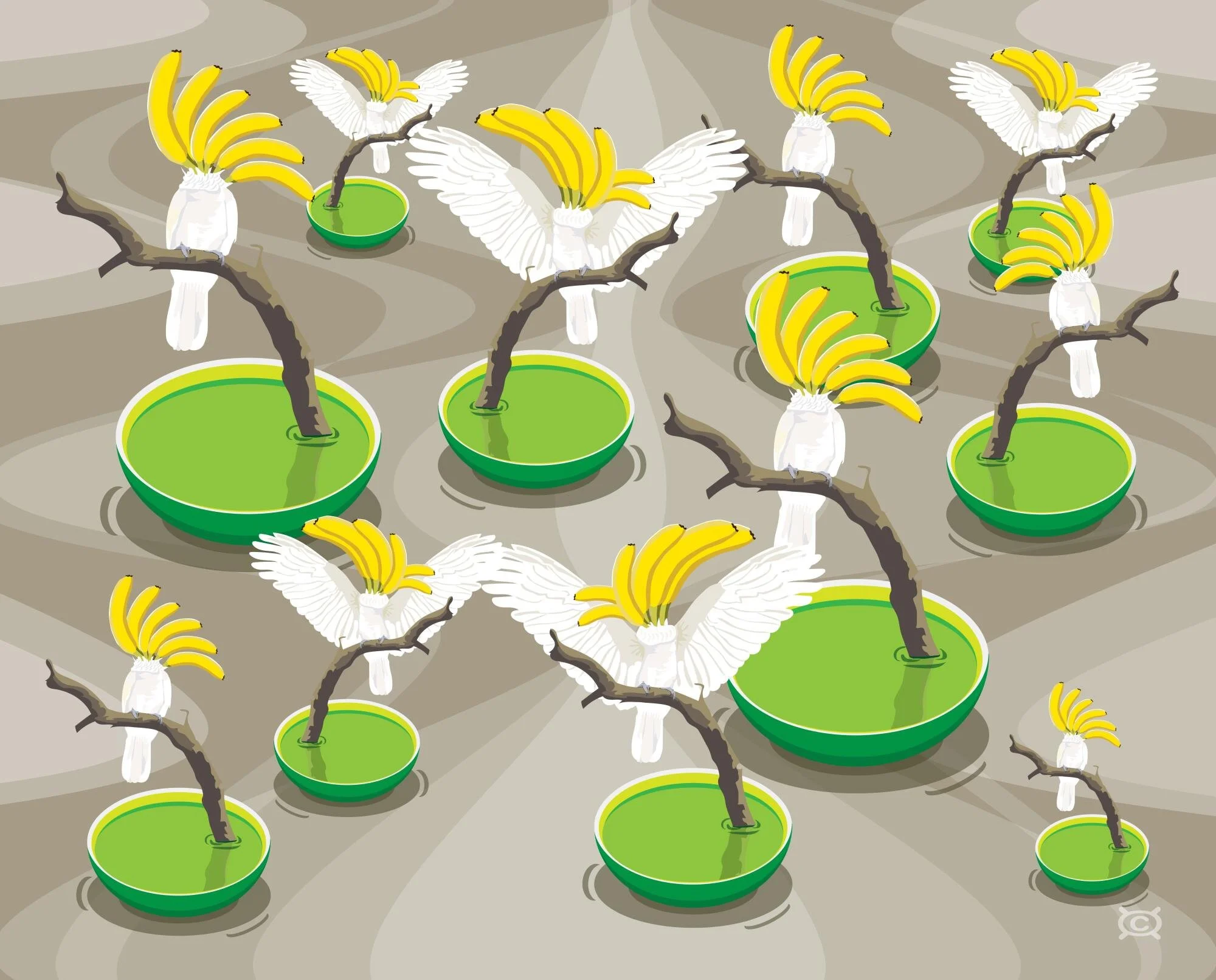 A Crackle of Banatoos