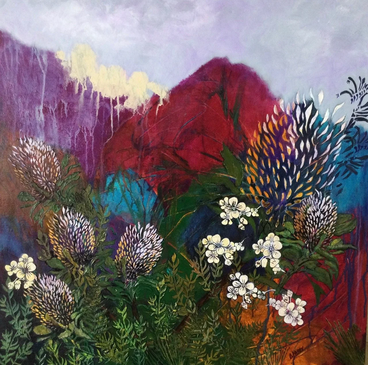 Australian native flowers