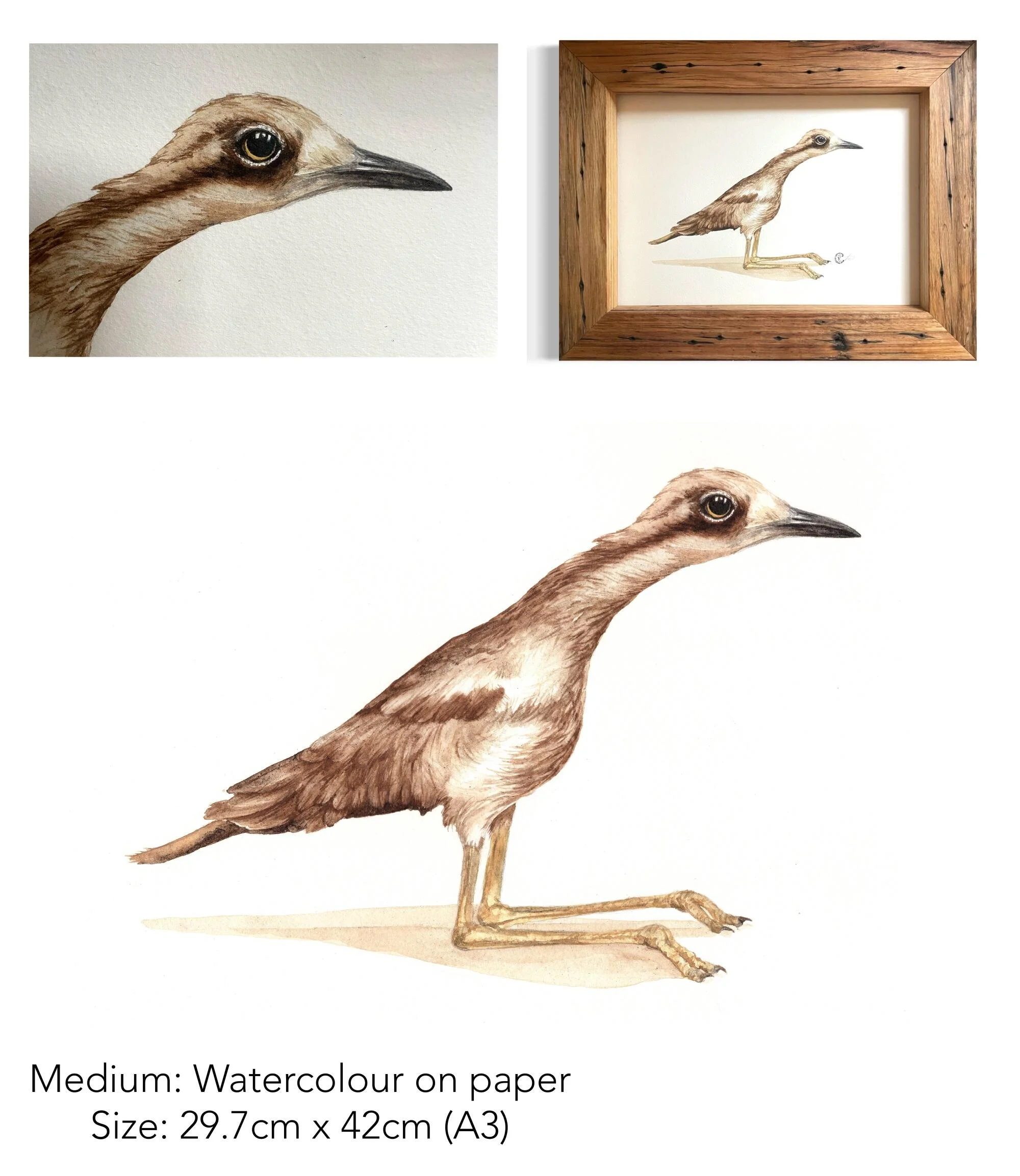 What 'chu lookin' at?!