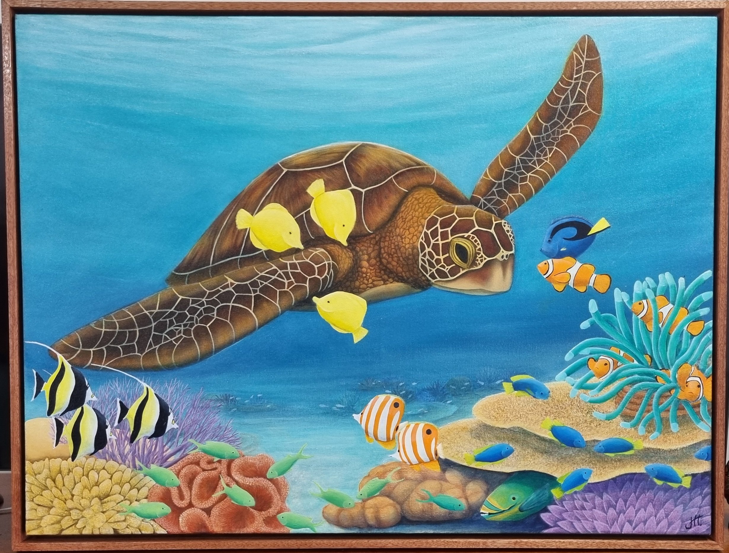 Friendships on the Reef