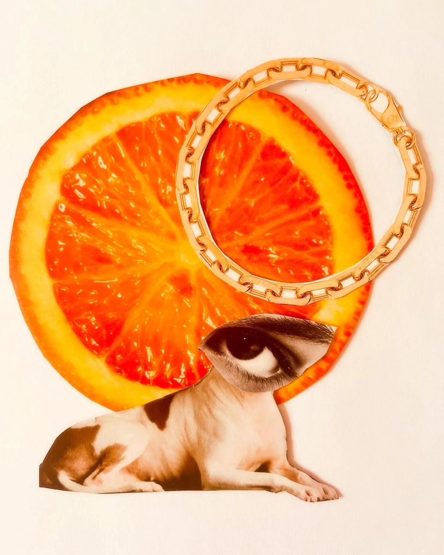 Welche Variante sollte die finale sein? 🐕👁️

Der Pain mit Collagen ist, man kann nicht aufh&ouml;ren, sie zu bauen 💖 es gibt unendlich viele M&ouml;glichkeiten, die Elemente zu kombinieren. 🧩 

🧑🏻&zwj;🎨 Aus dieser Sicht &auml;hnelt es sehr der