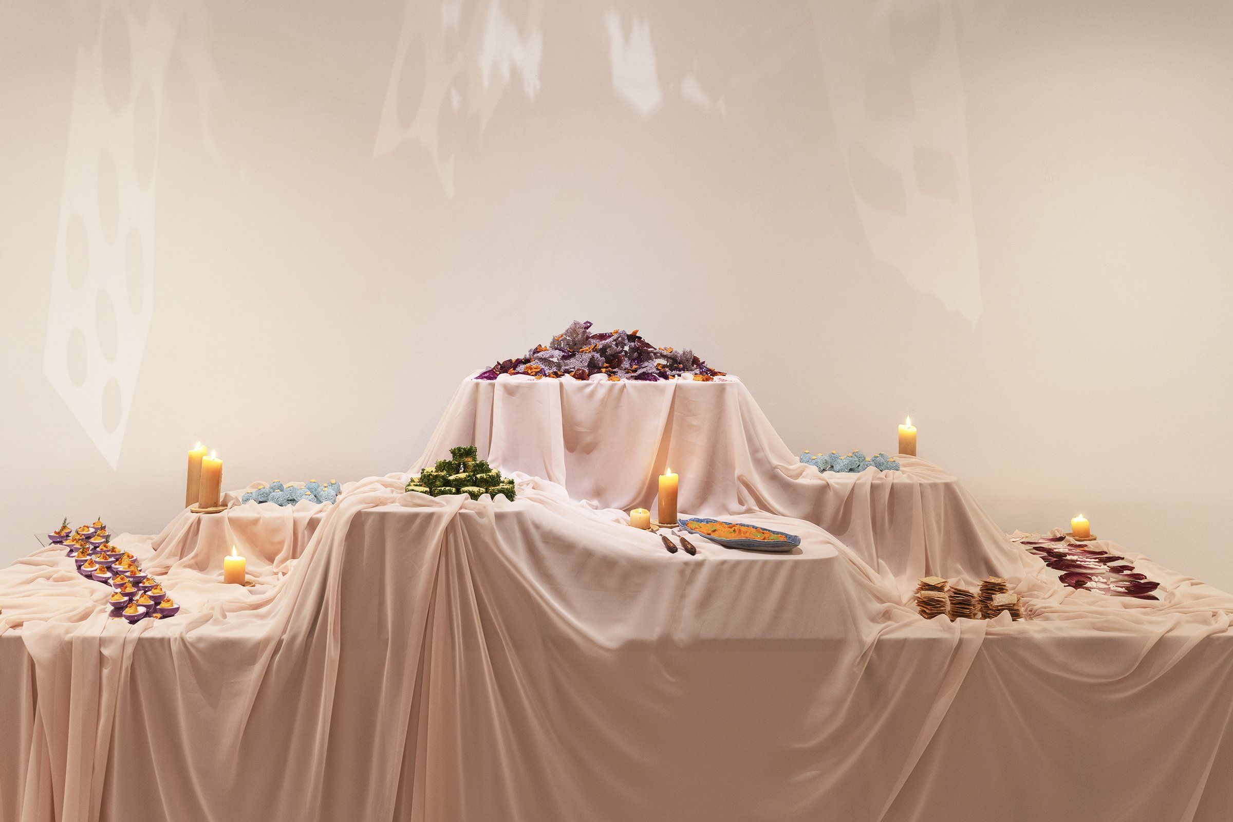 Fluid Dinner Installation for artist VioletaMaya