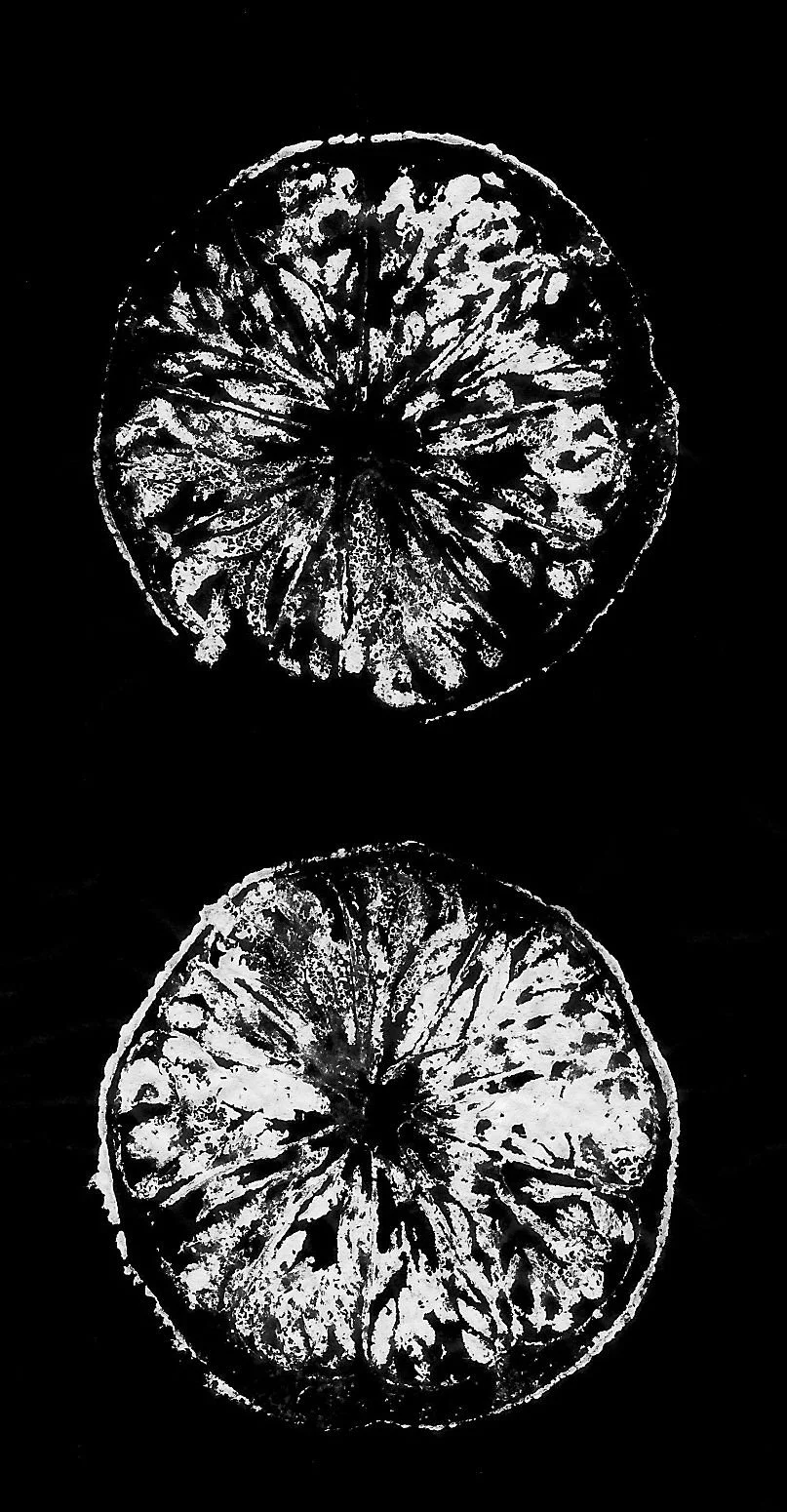 va-de-cuina_gyotaku2_migastudio.jpg
