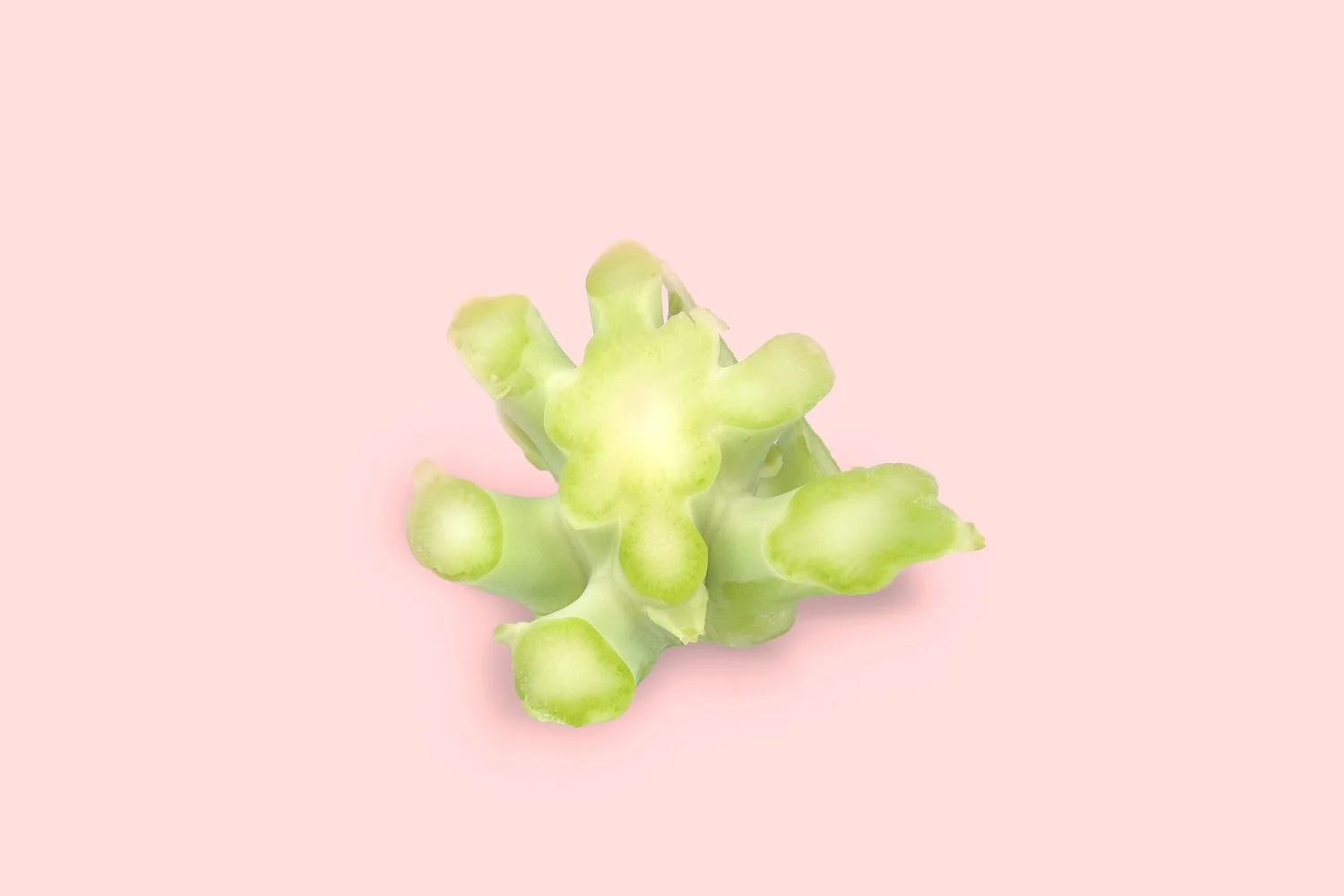 Hidden Beauty in Food