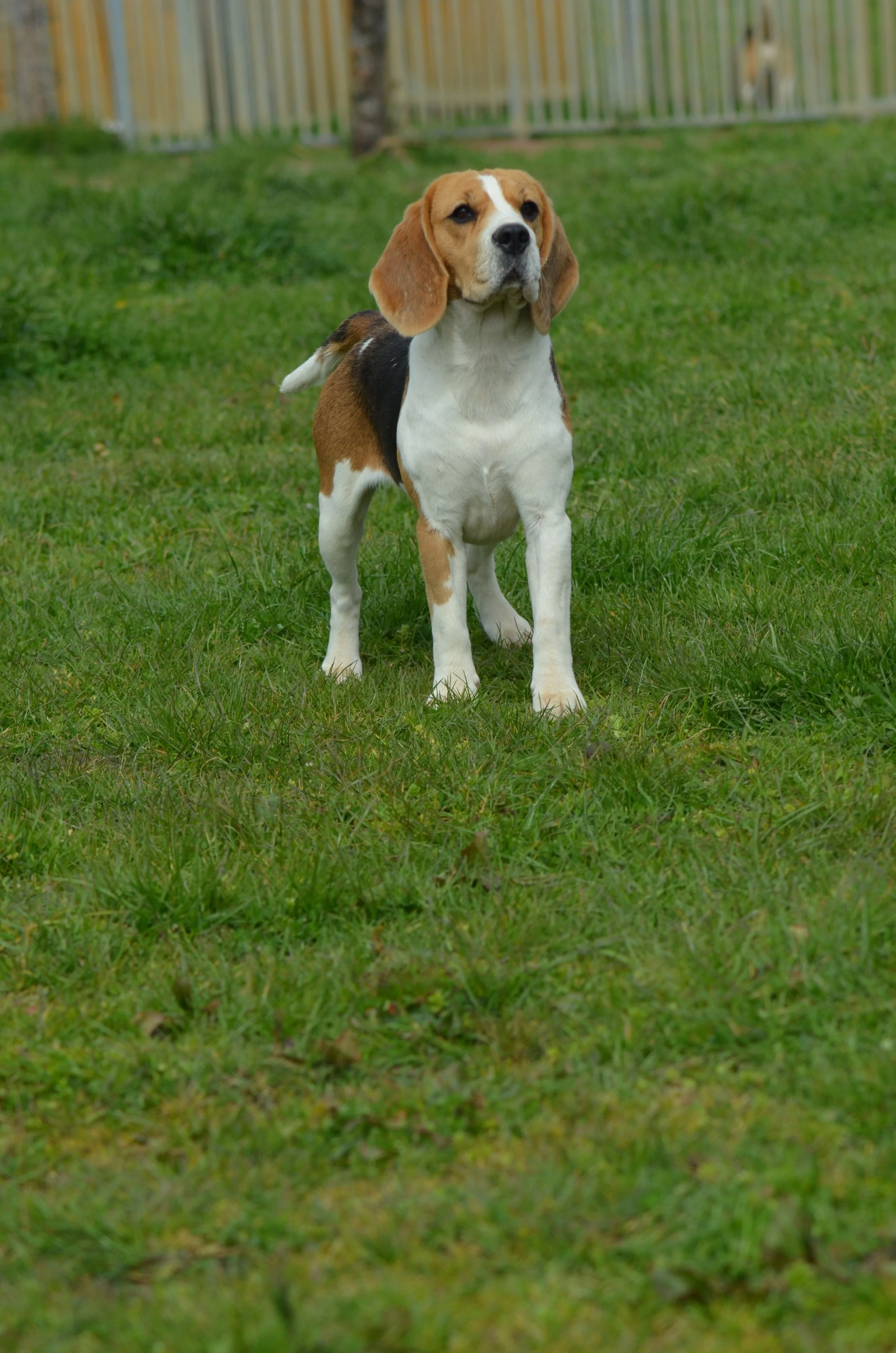 DSC_0184.JPG