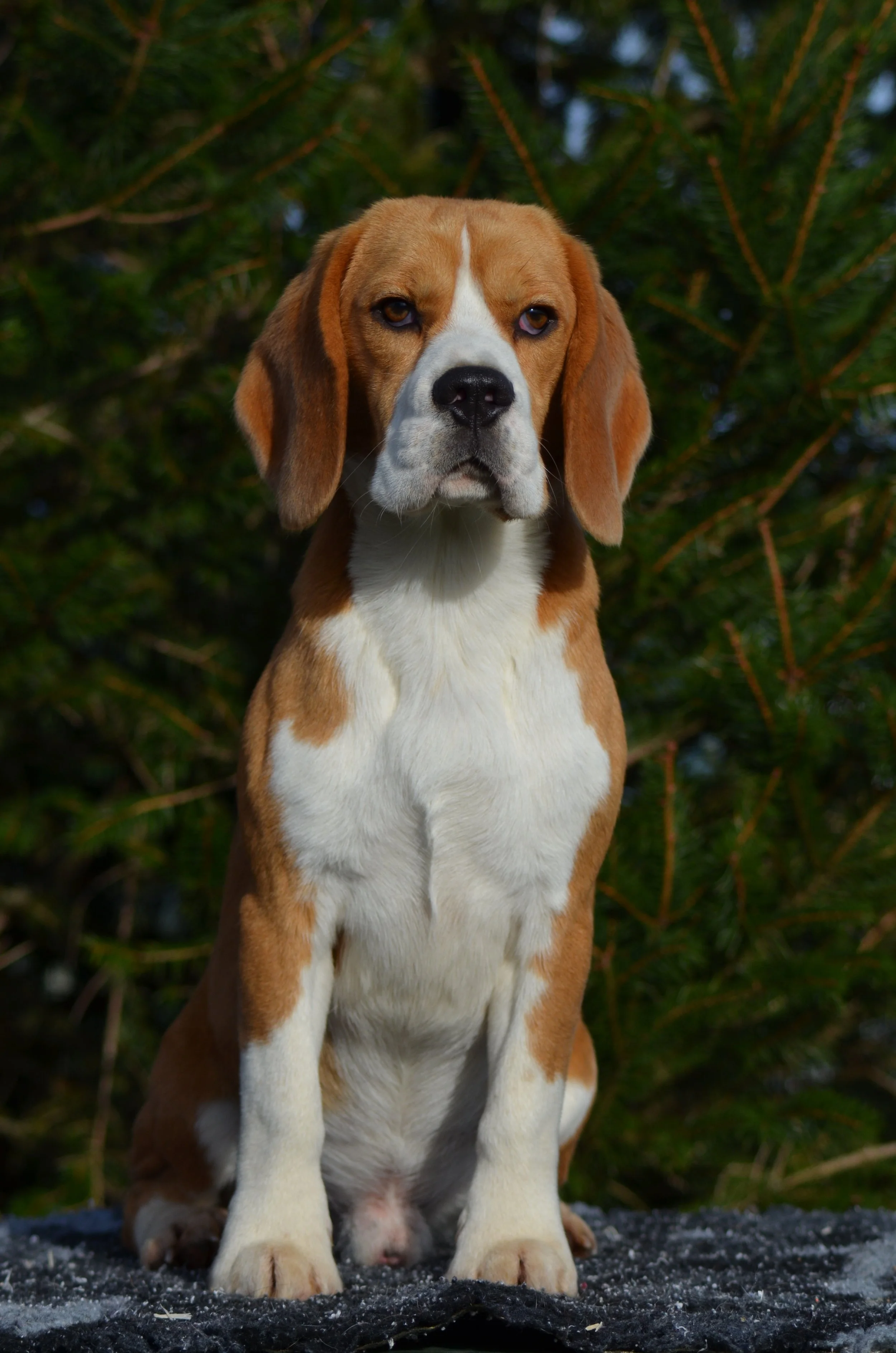 DSC_0011.JPG