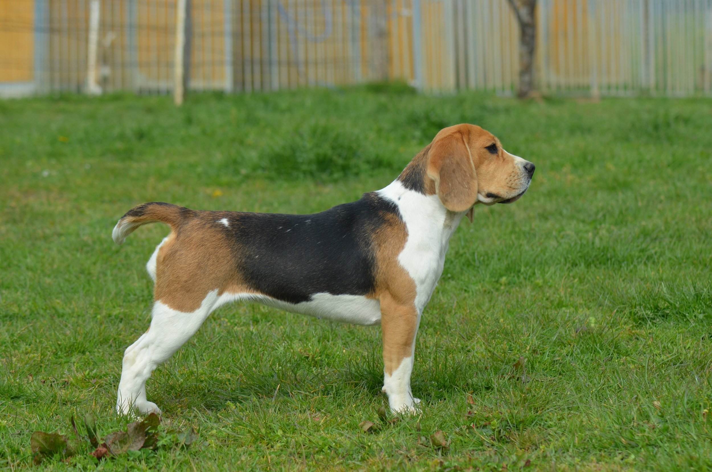 DSC_0191.JPG