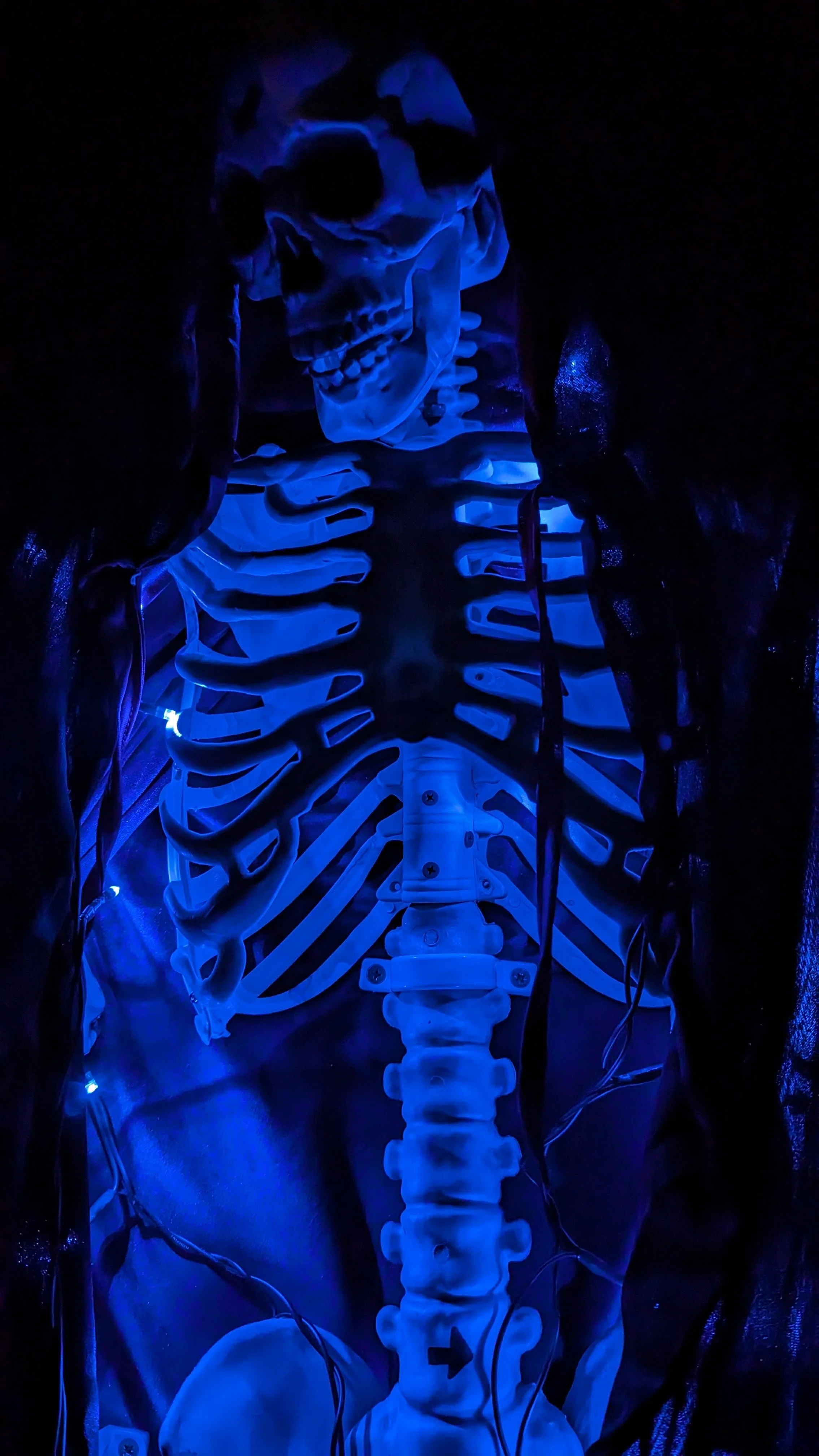 X-ray of a human skeleton illuminated with blue light, showing the skull, ribs, spine, and pelvis.