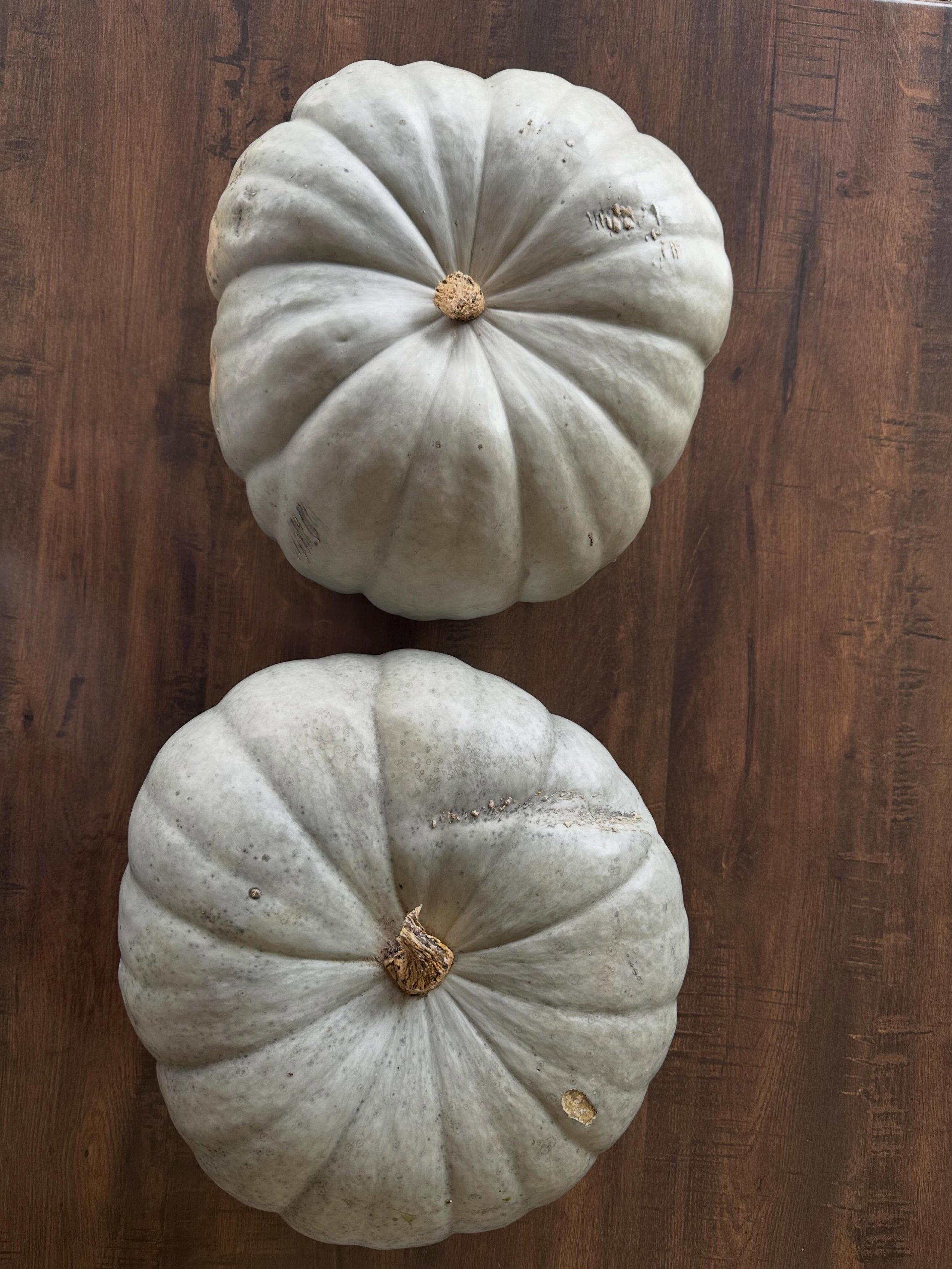 We just received some beautiful Sampson pumpkins from local lads Charlie &amp; Henry. They&rsquo;ve been working hard to grow and harvest and have a bumper crop.

Try them on our menu or grab one for yourself from the roadside stand this Sunday, just