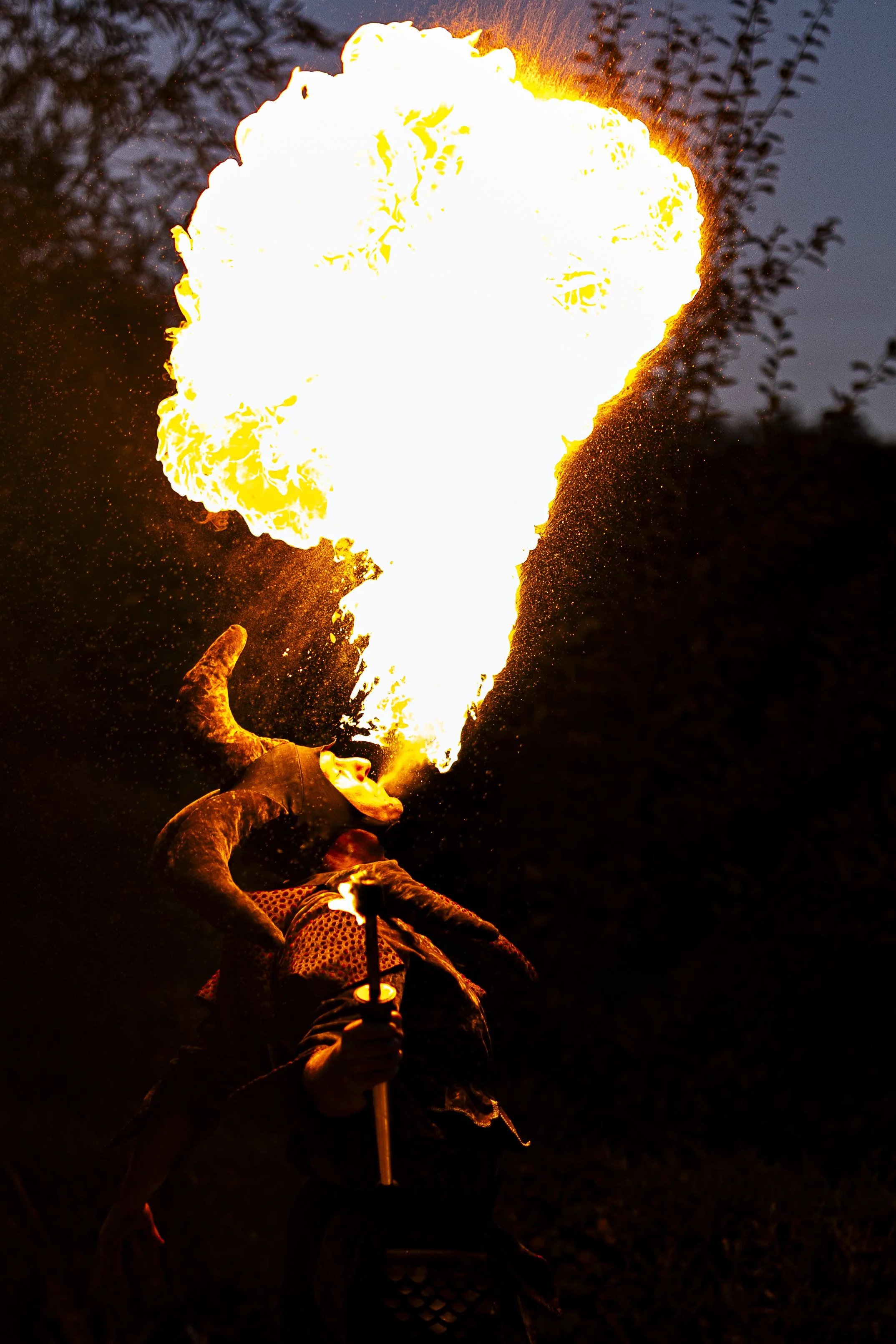 Magisch behekst Prullenbos