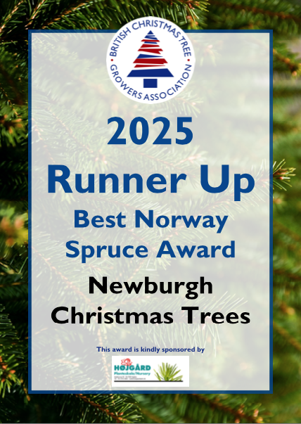 NewburghChristmasTrees_BCTGA_RunnerUpCertificate.png