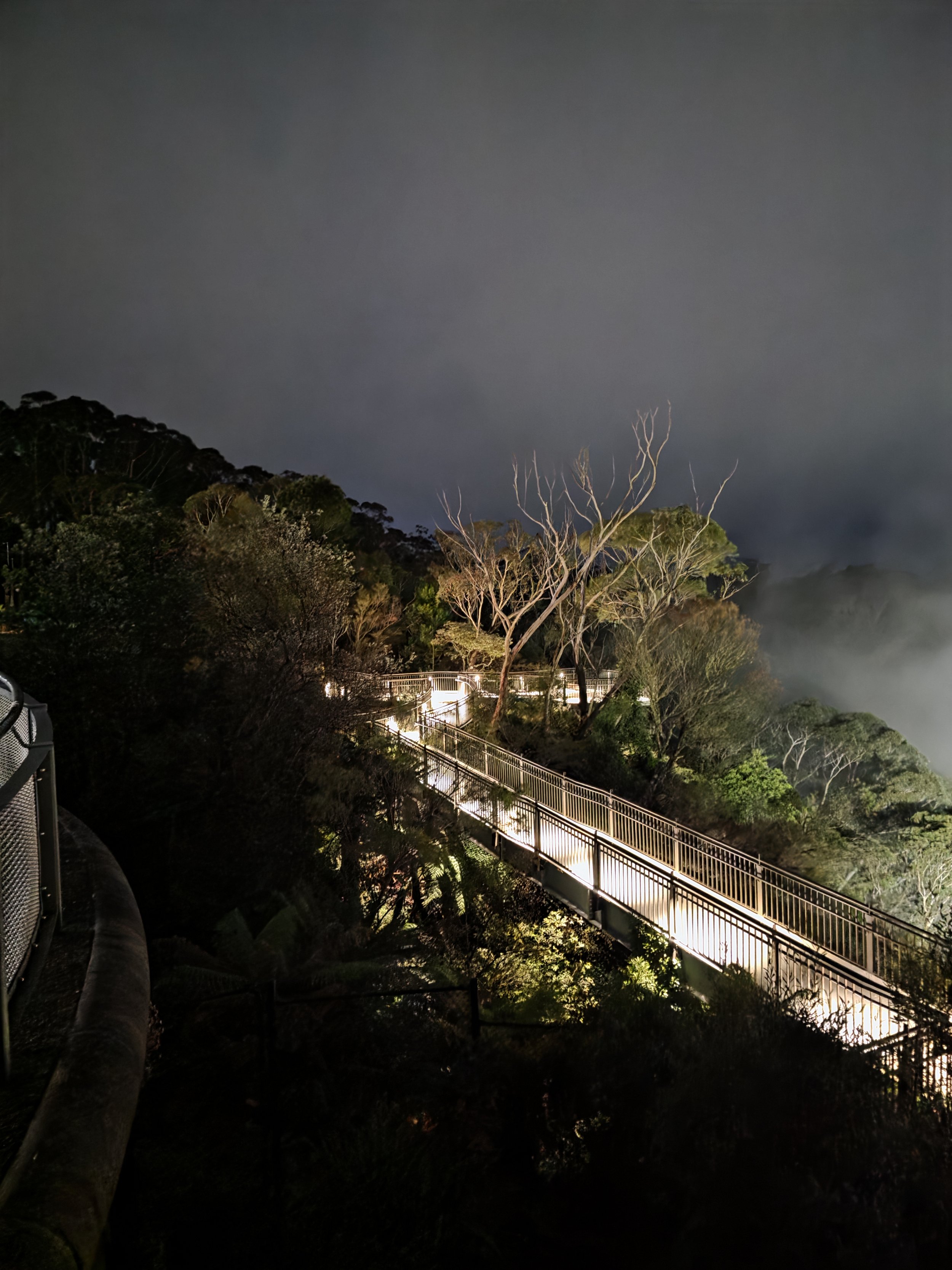 Nighttime view of a forested area with a lit walkway and railing, trees, and an overcast sky.