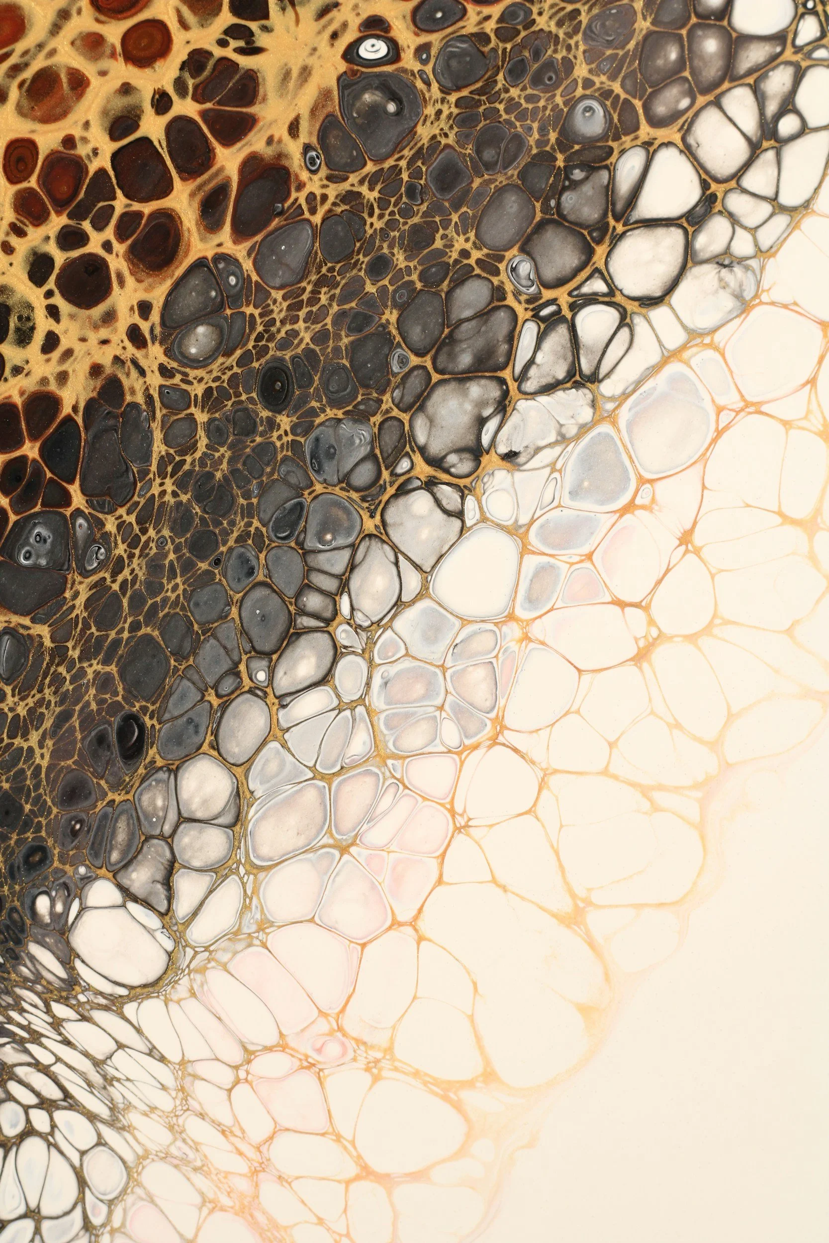 Liquid Gold: The Art of Honey Production