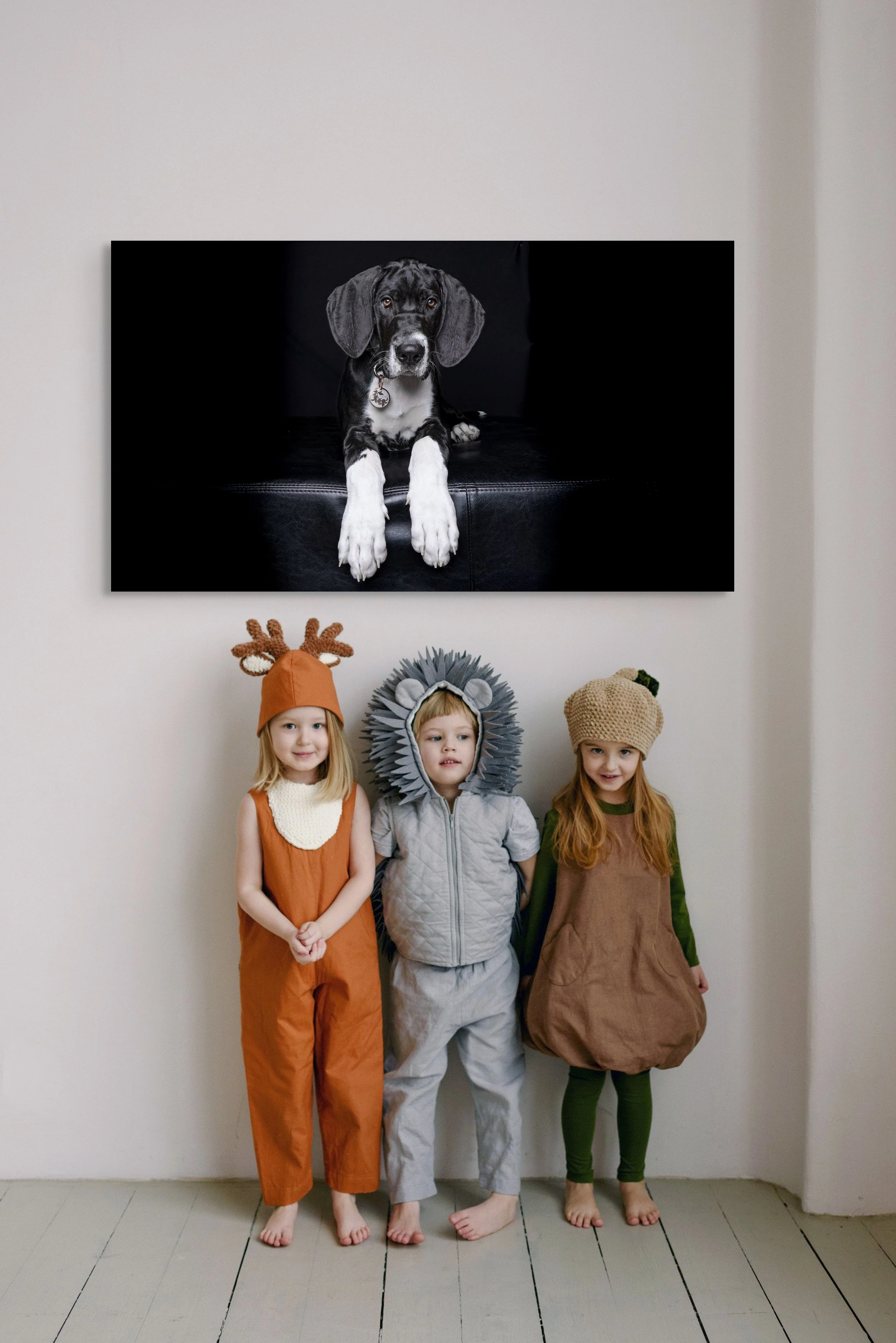 Don’t Worry, We’ve Got You: What to Expect in a Pet-Friendly Photo Shoot for Your Neurodiverse Child and Their Best mate.