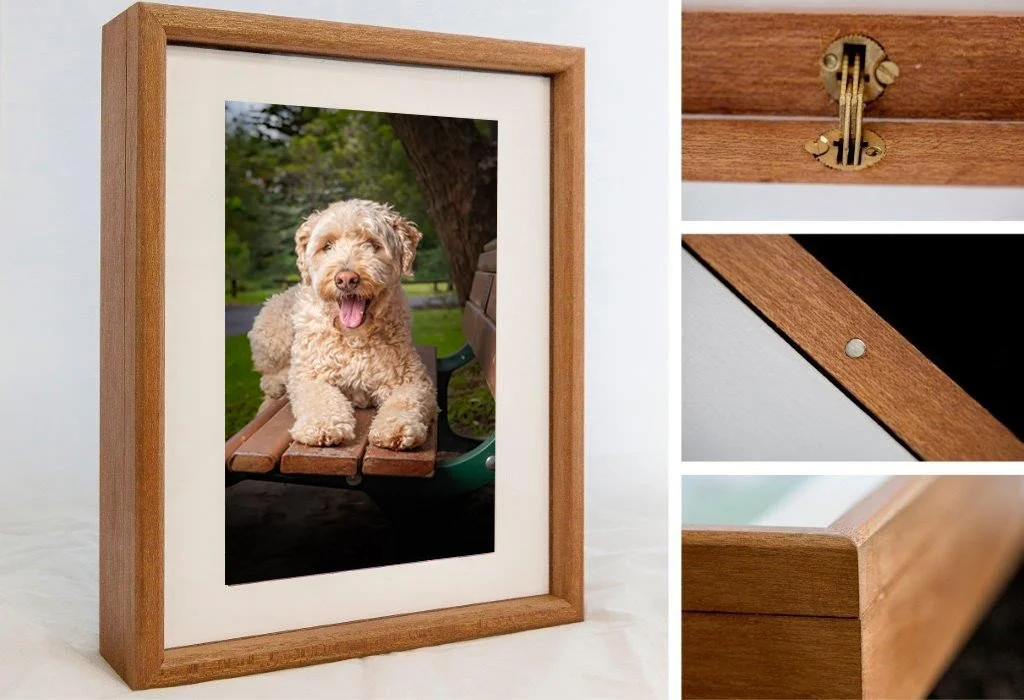 photo of dog on Brisbane bench seat