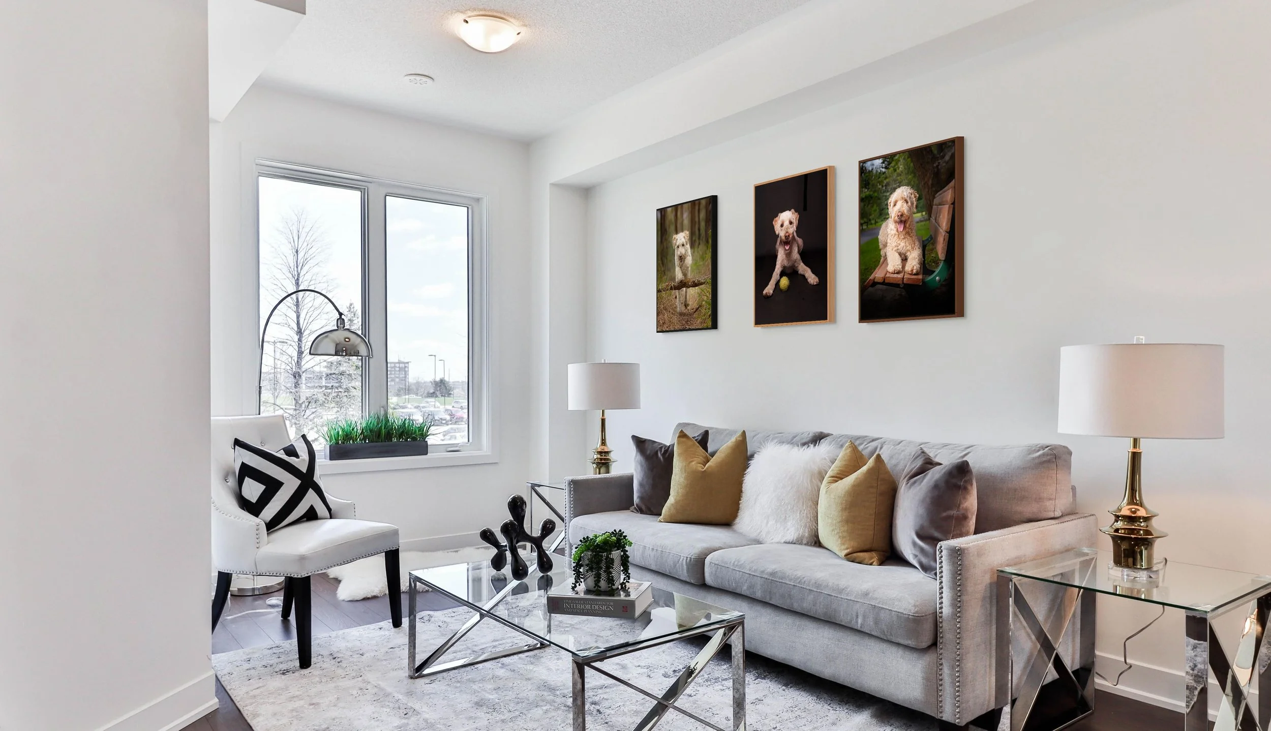 30x20 canvas framed black oak, chocolat-full.jpg