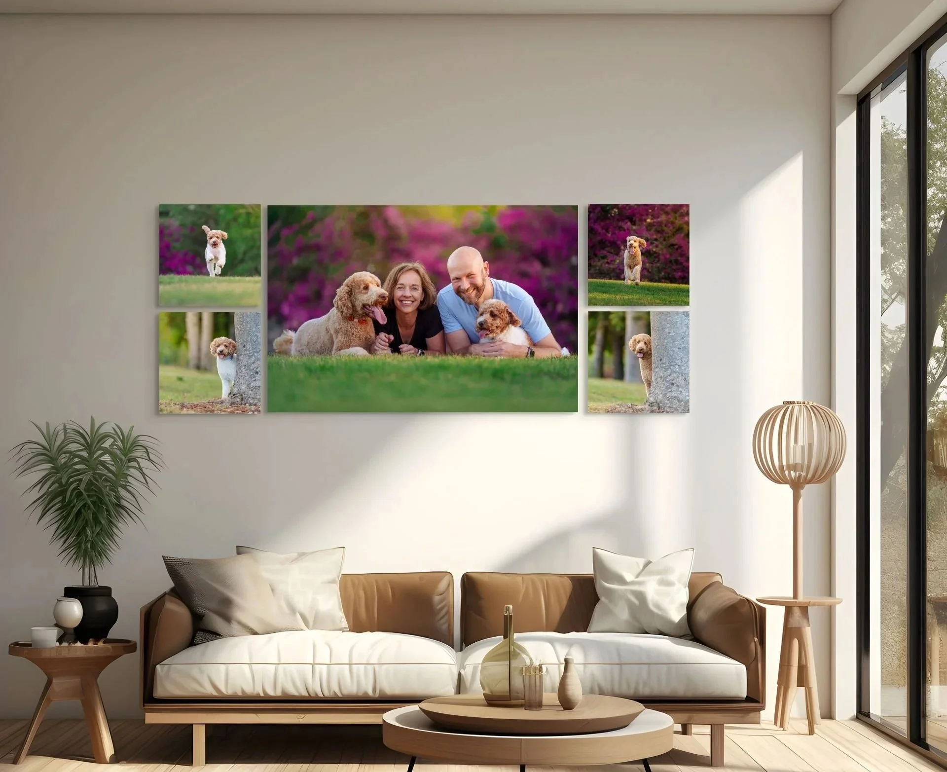 dog and family photo victoria park Brisbane