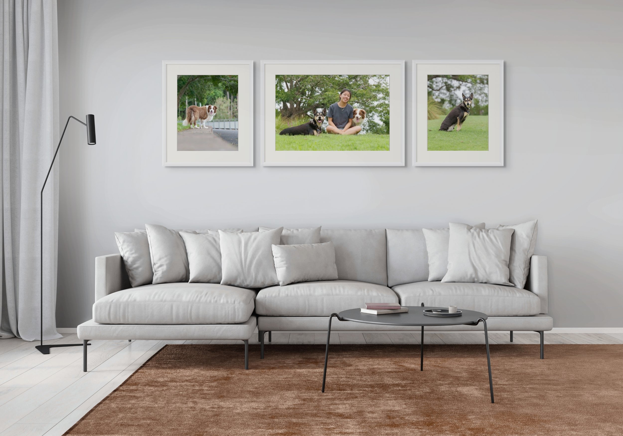 Framed Portrait Collection 
