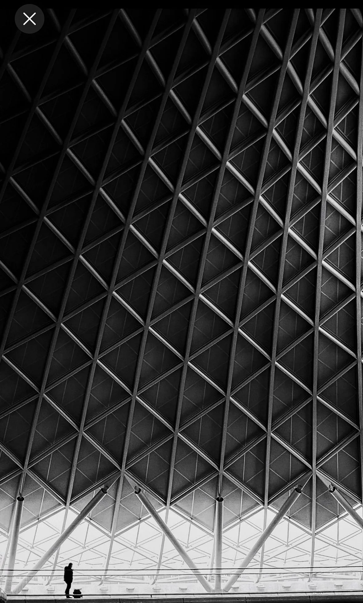 A person walking with a dog inside a modern building with a geometric, grid-like ceiling structure.