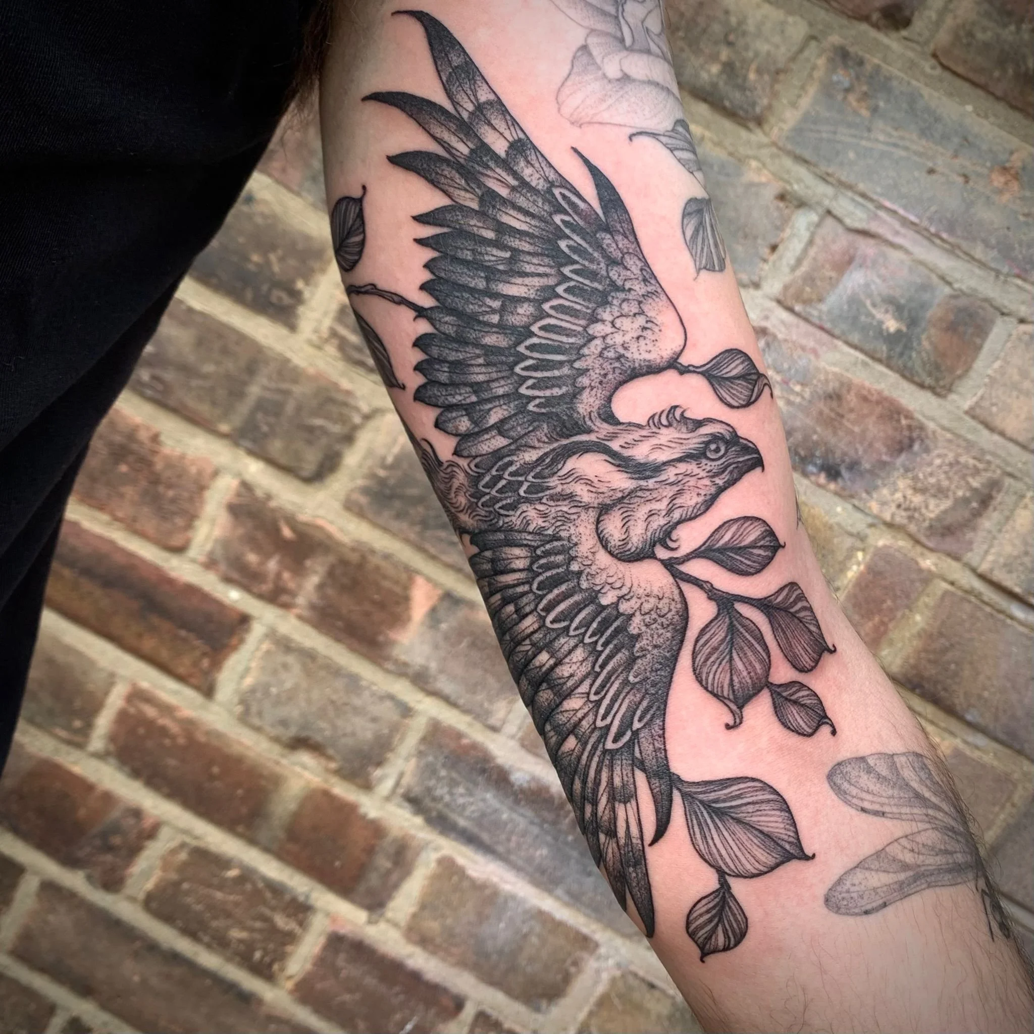 PHOTO-2024-05-03-21-44-30 4.jpg