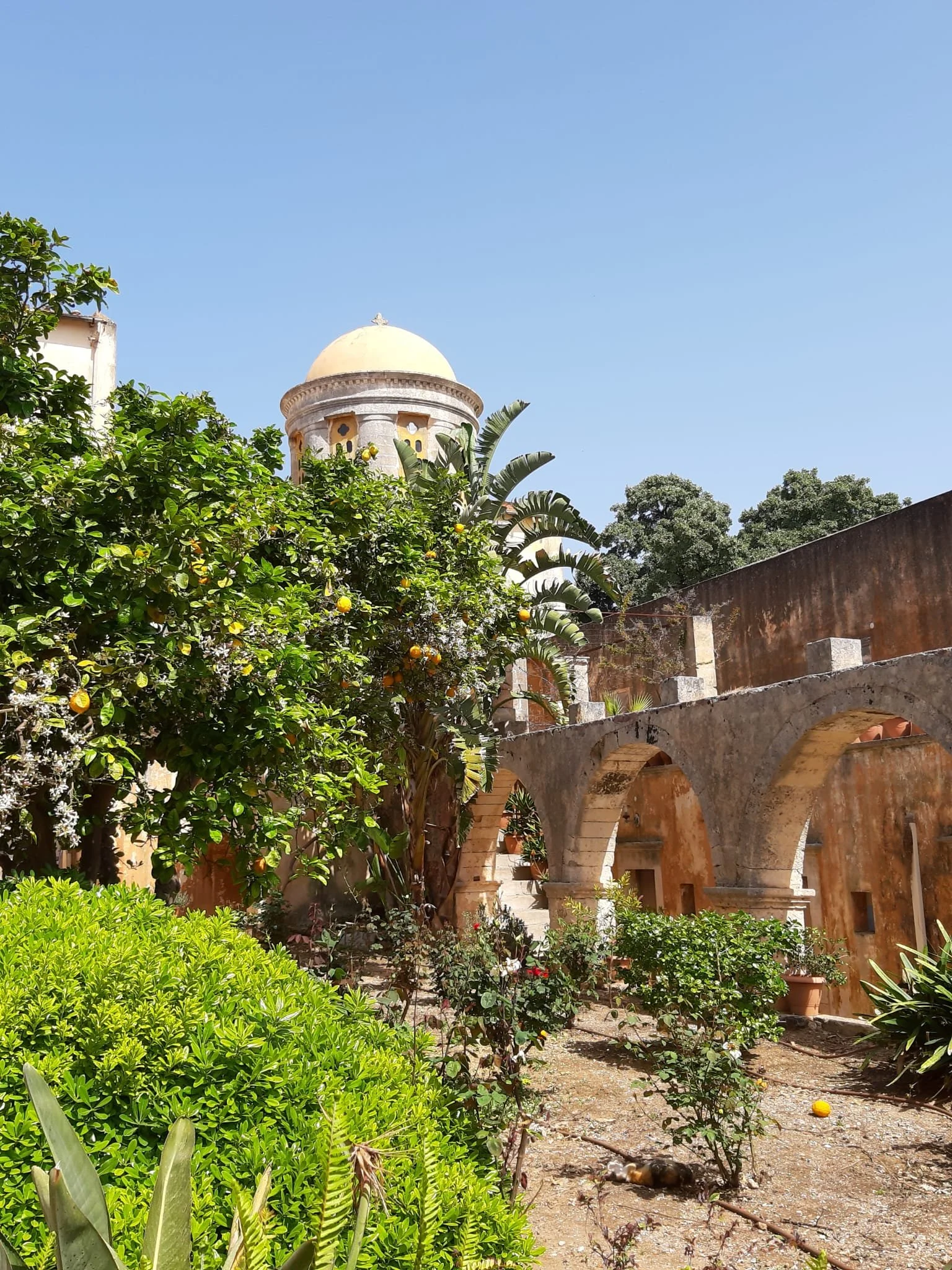 WhatsApp Image 2025-04-17 at 14.24.22.jpeg