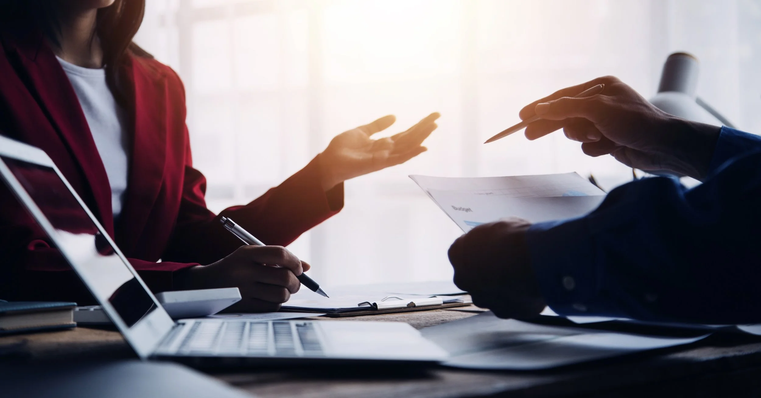 A business advisor and executive discussing business decisions