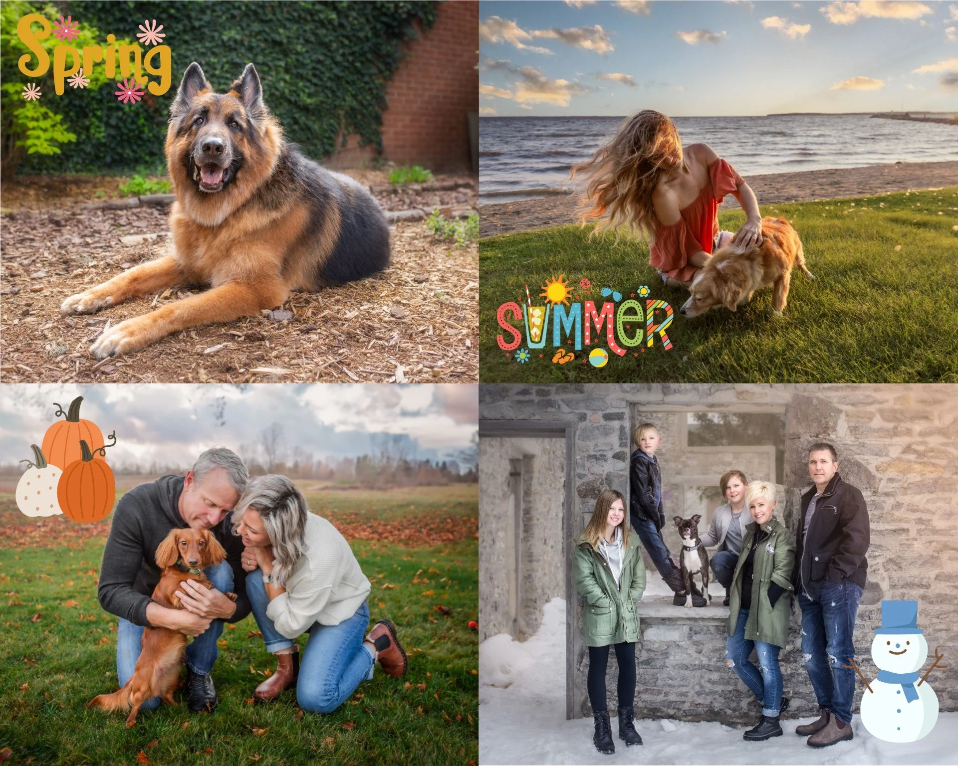 The Best Time of Year for Outdoor Dog Photoshoots