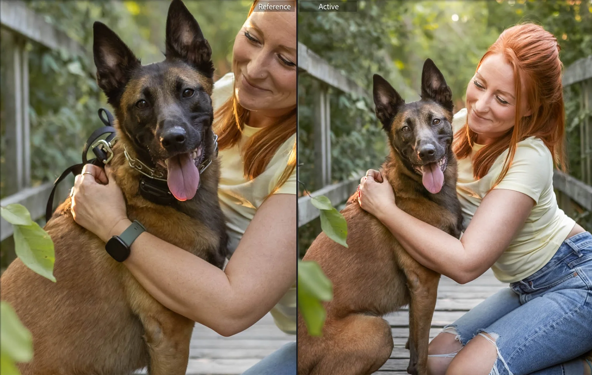 Leash or No Leash for Great Photos?