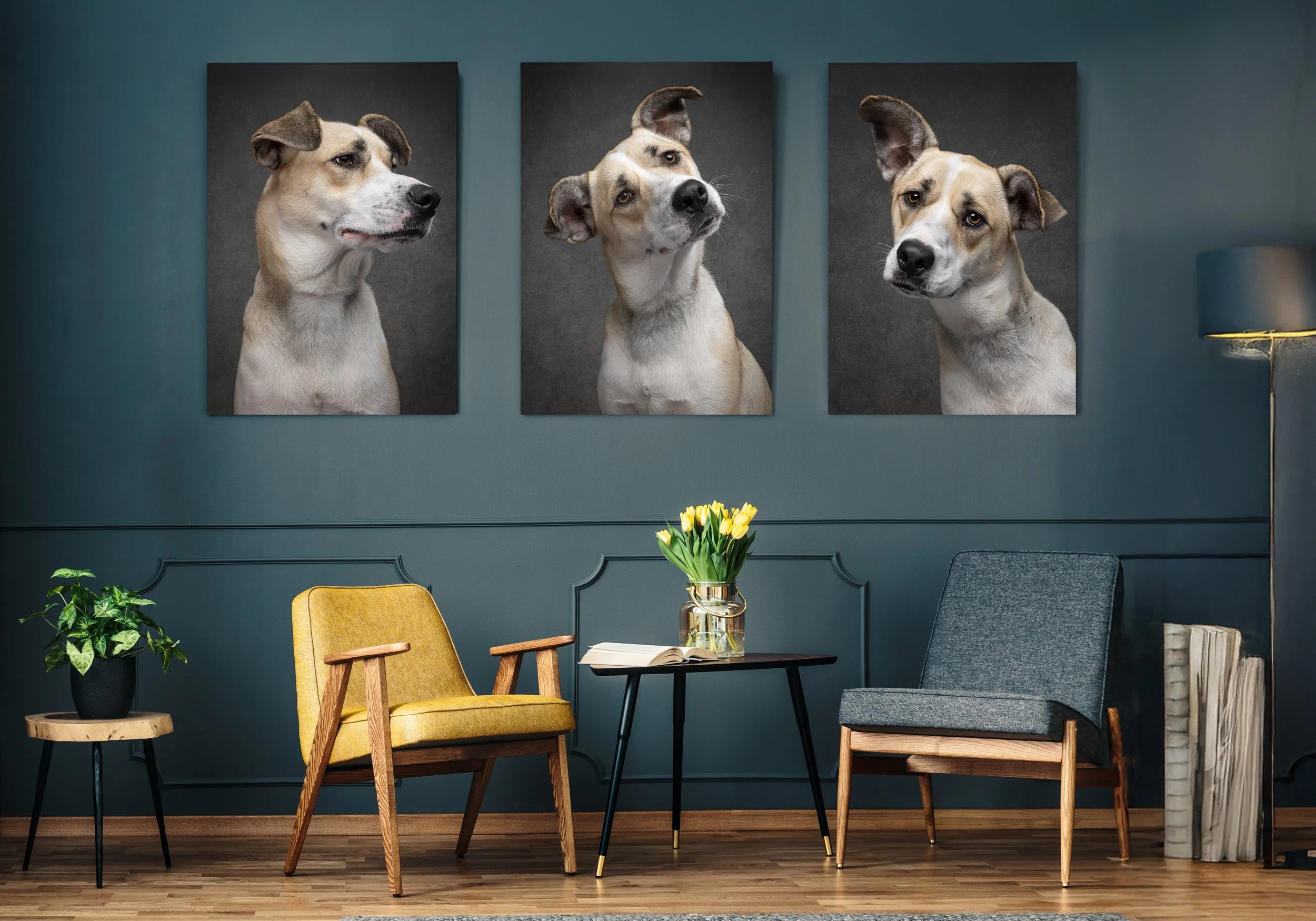 When Did Our Walls Go Quiet?