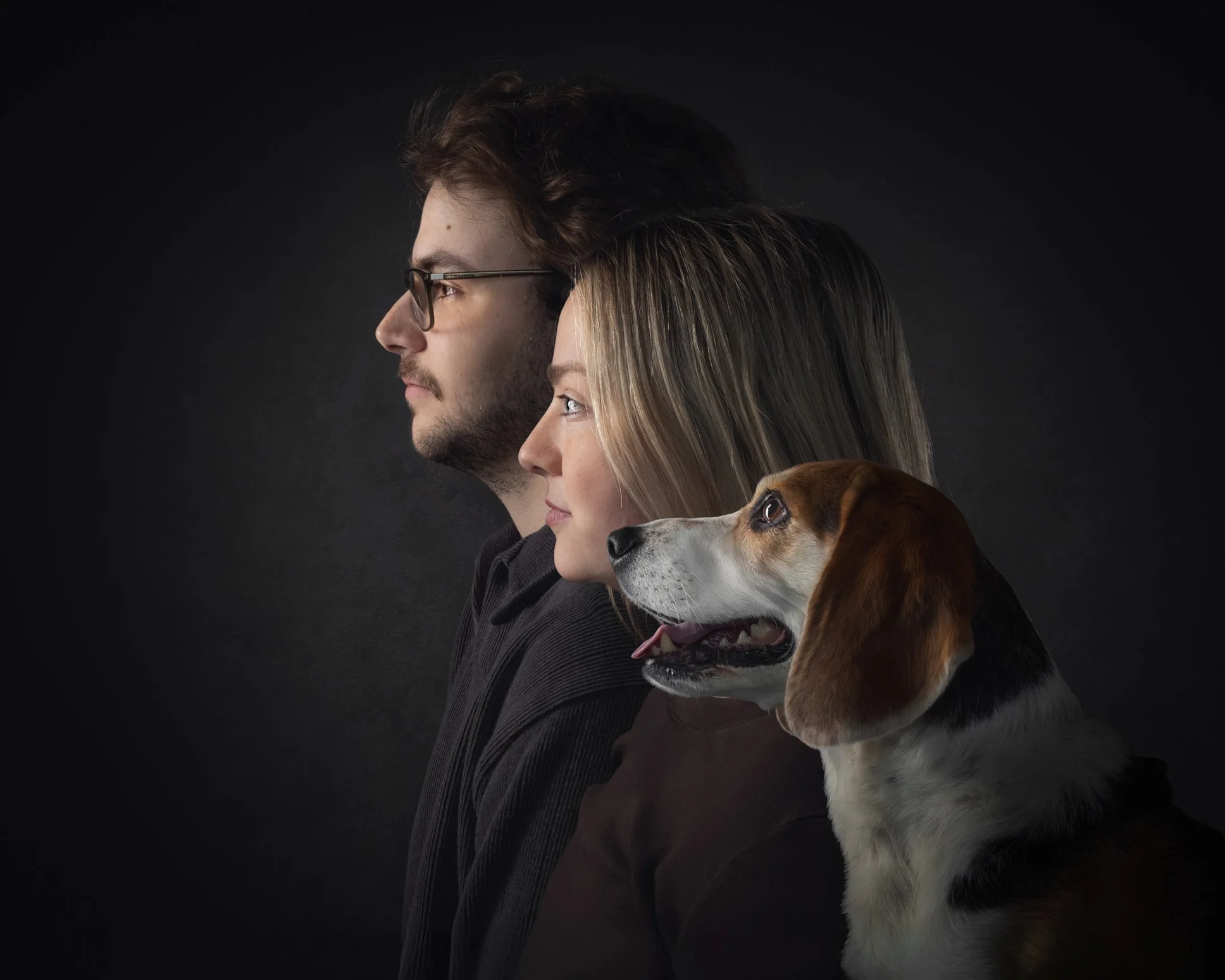Why Hire a Professional Dog Photographer