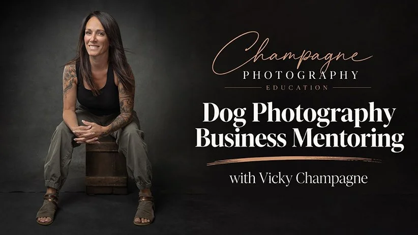 Why Better Photos &amp; Perfect Pricing Won’t Magically attract clients…
