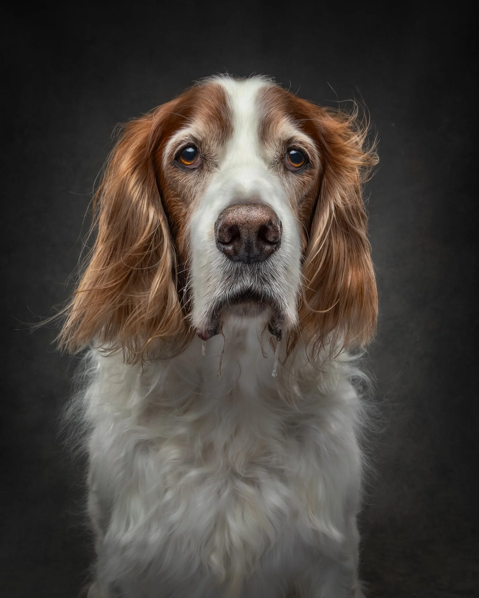 FINNIGAN--2.jpg