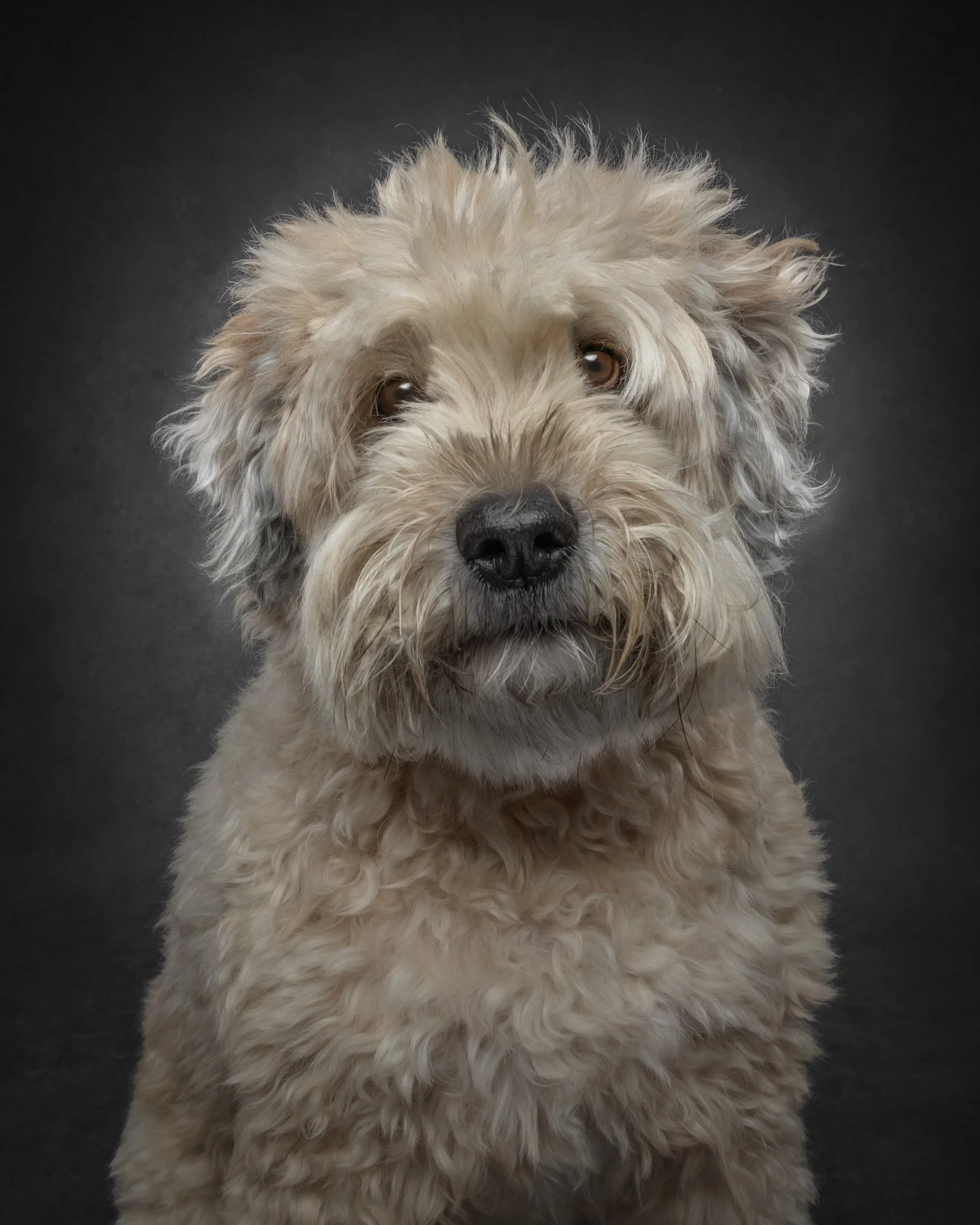charlee--2.jpg