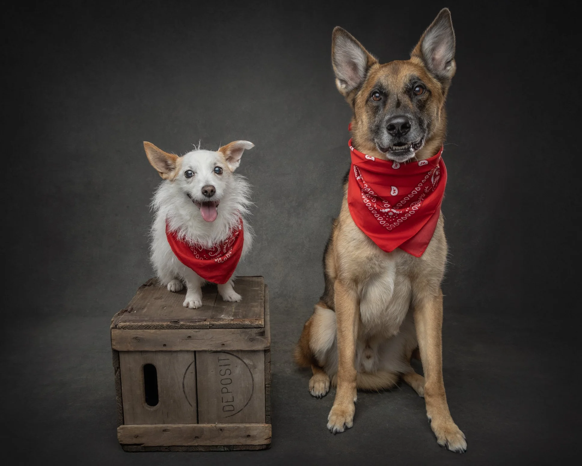BREWSTER & MILO--3.jpg