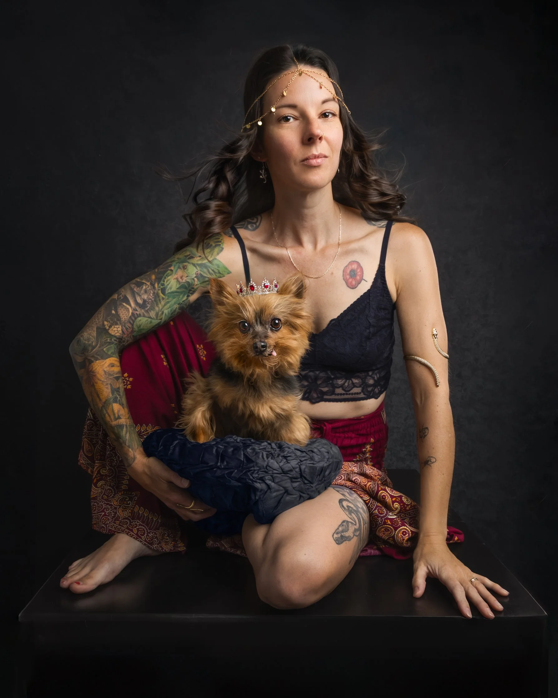 Port Perry dog photographer capturing soulful moments